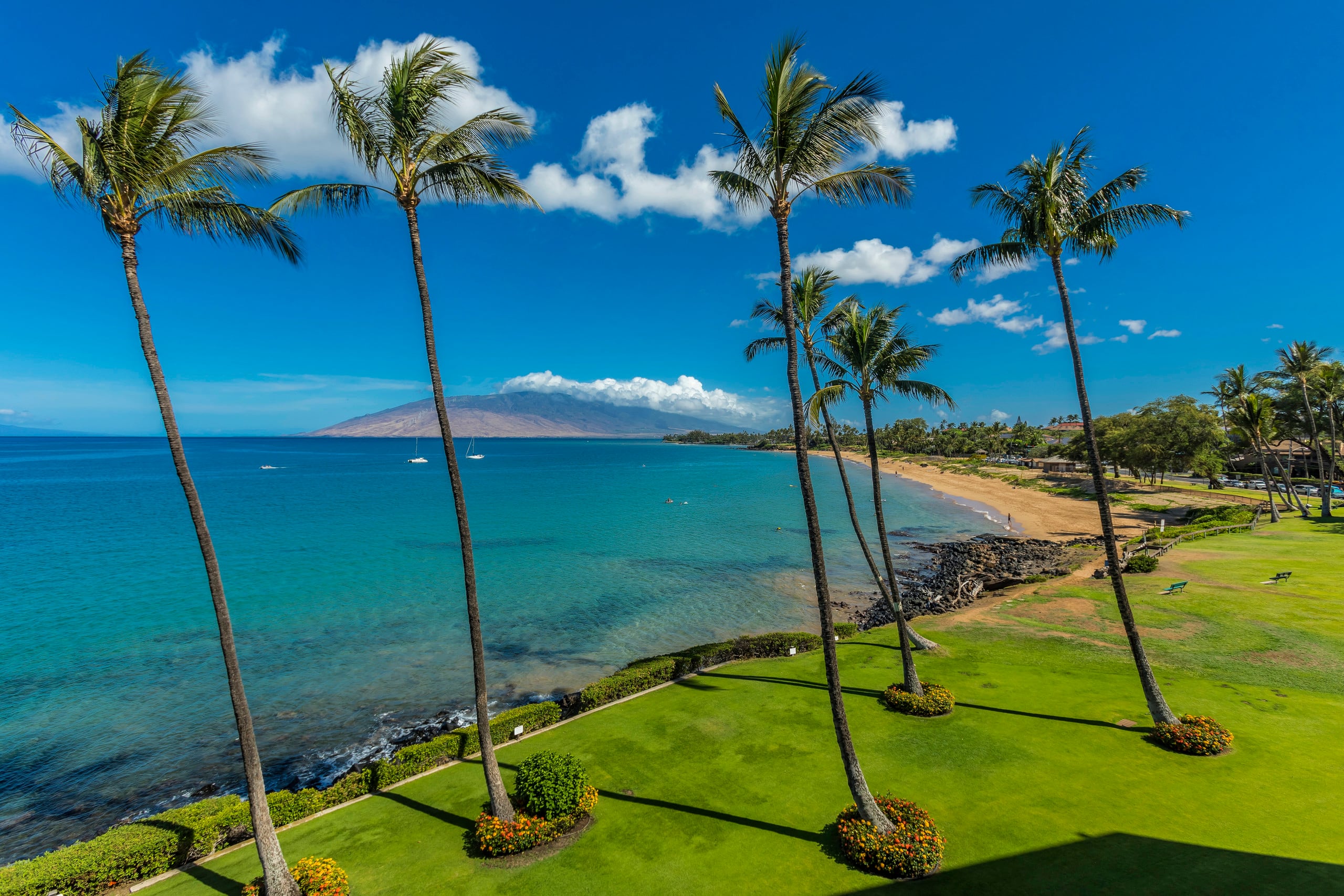 Condo in Kihei · ★5.0 · 2 bedrooms · 2 beds · 2 baths - Image 38