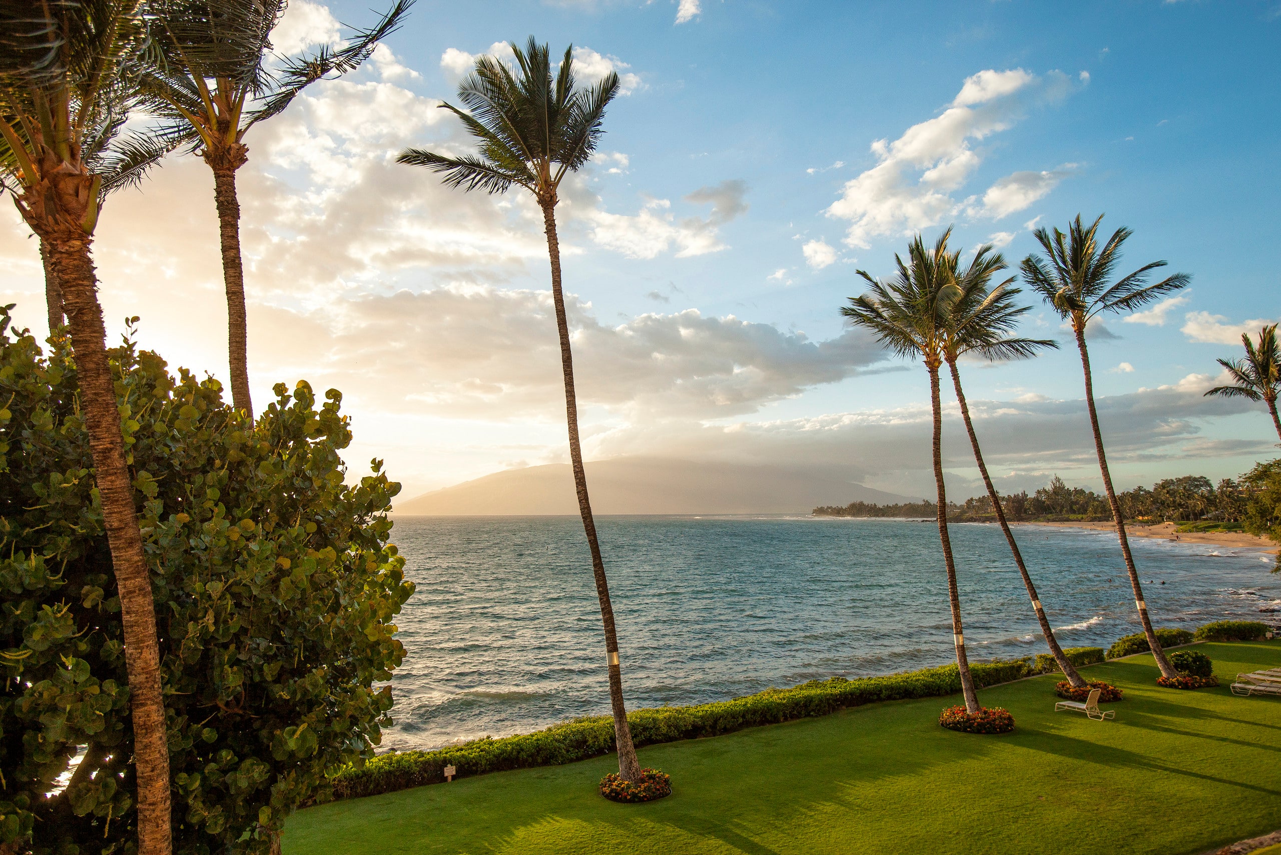 Condo in Kihei · ★5.0 · 2 bedrooms · 2 beds · 2 baths - Image 45