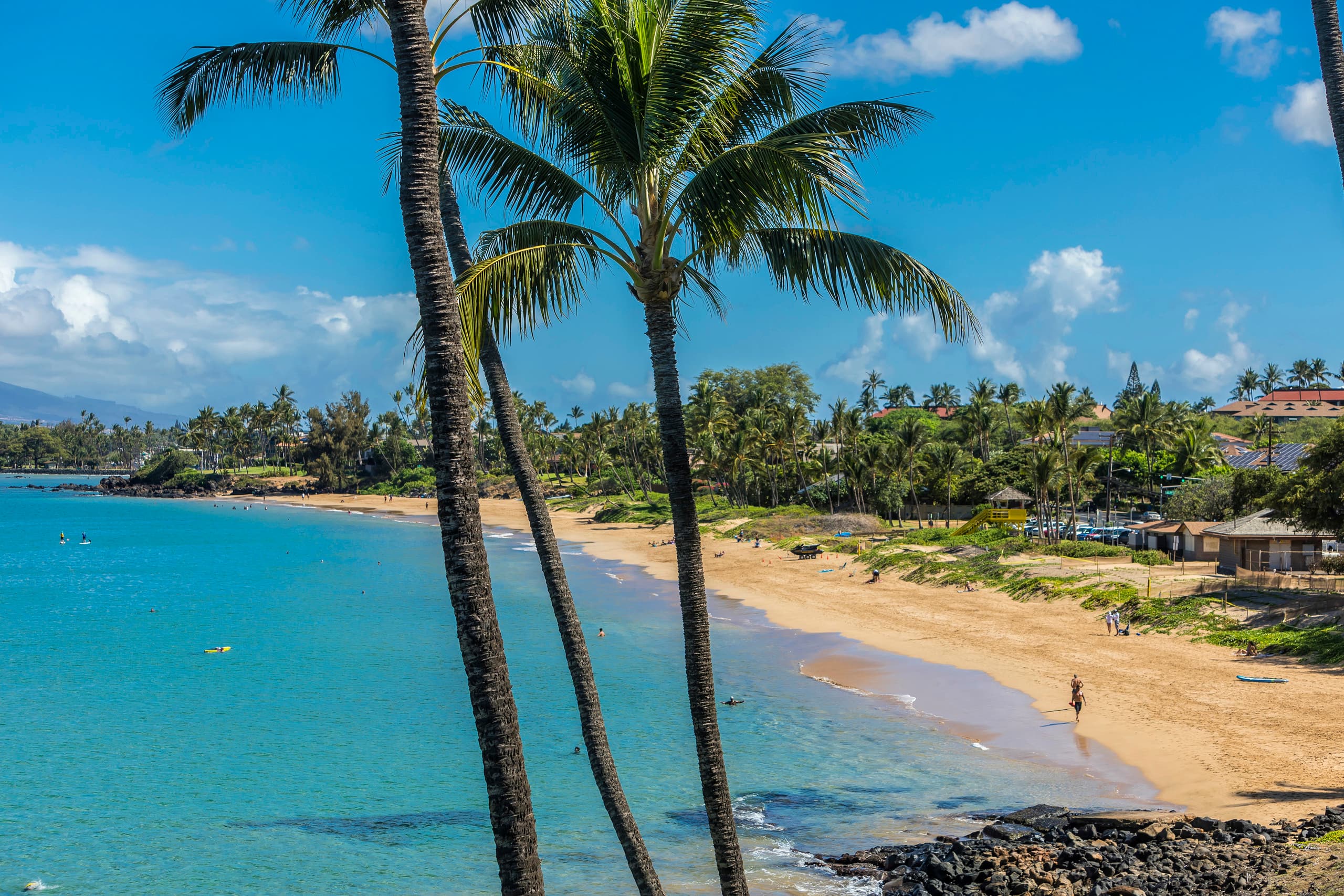 Condo in Kihei · ★5.0 · 2 bedrooms · 2 beds · 2 baths - Image 41