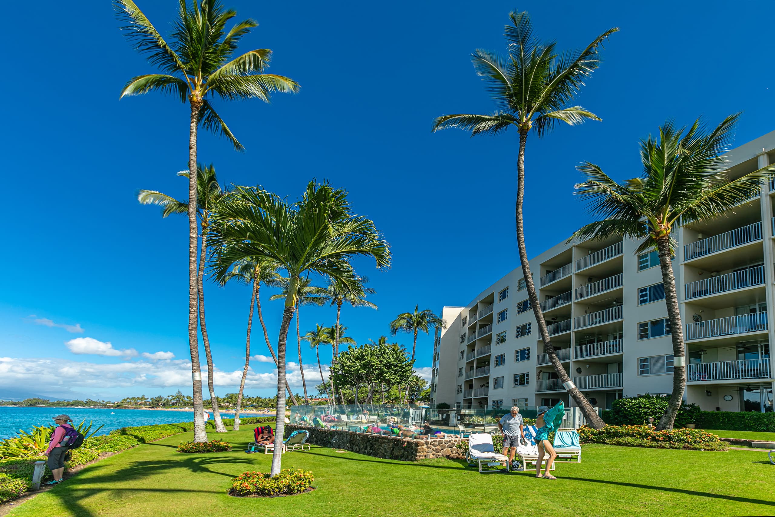 Condo in Kihei · ★5.0 · 2 bedrooms · 2 beds · 2 baths - Image 36