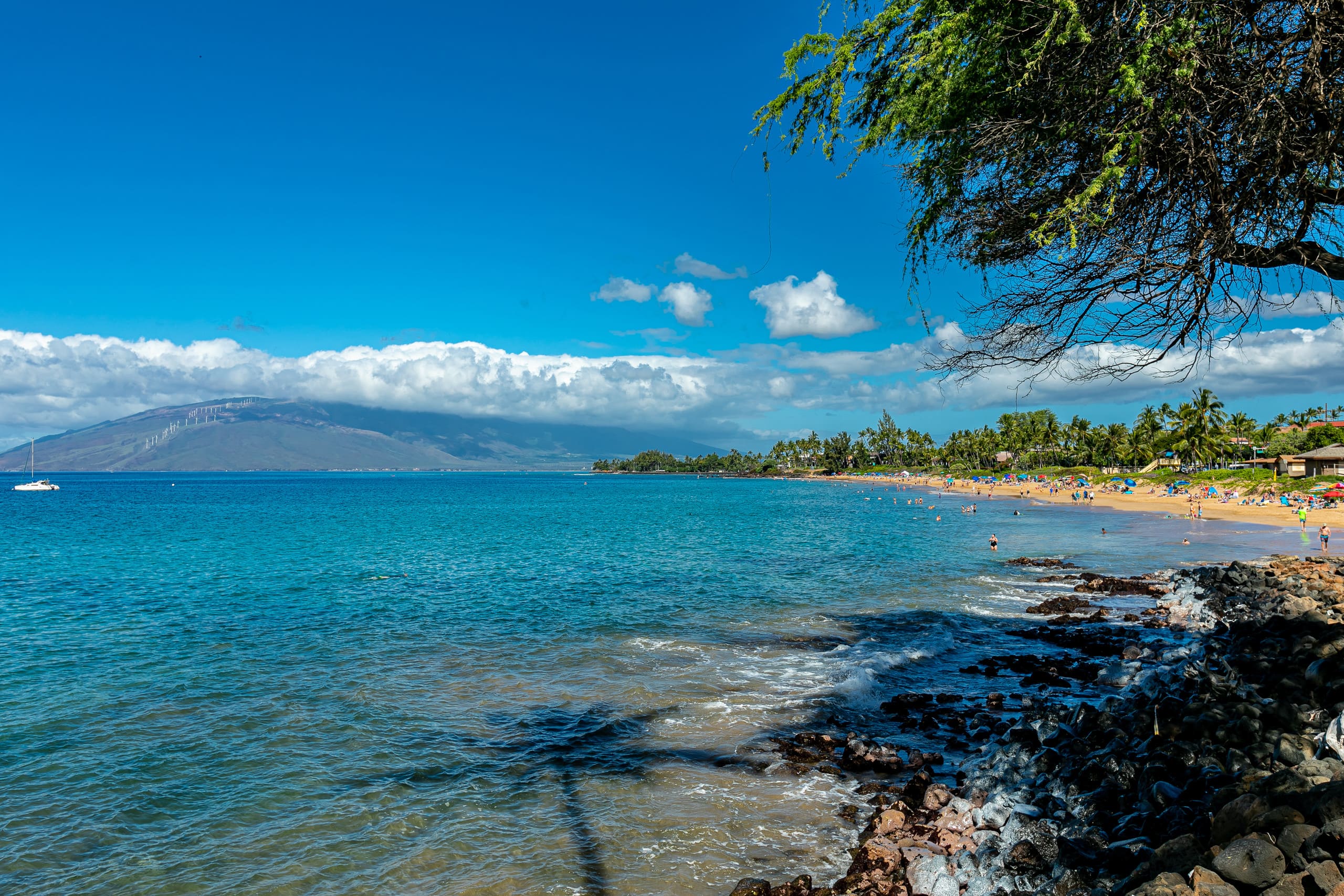Condo in Kihei · ★5.0 · 2 bedrooms · 2 beds · 2 baths - Image 49