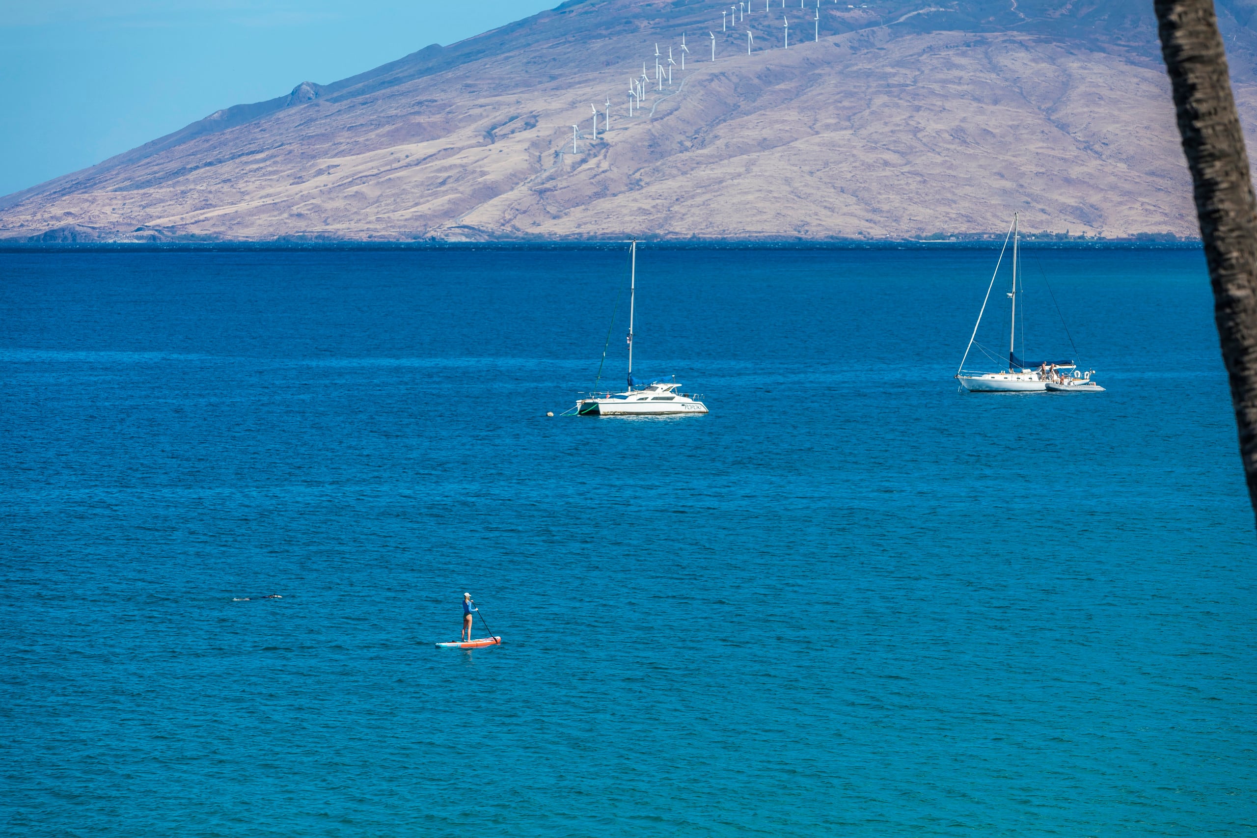 Condo in Kihei · ★5.0 · 2 bedrooms · 2 beds · 2 baths - Image 42