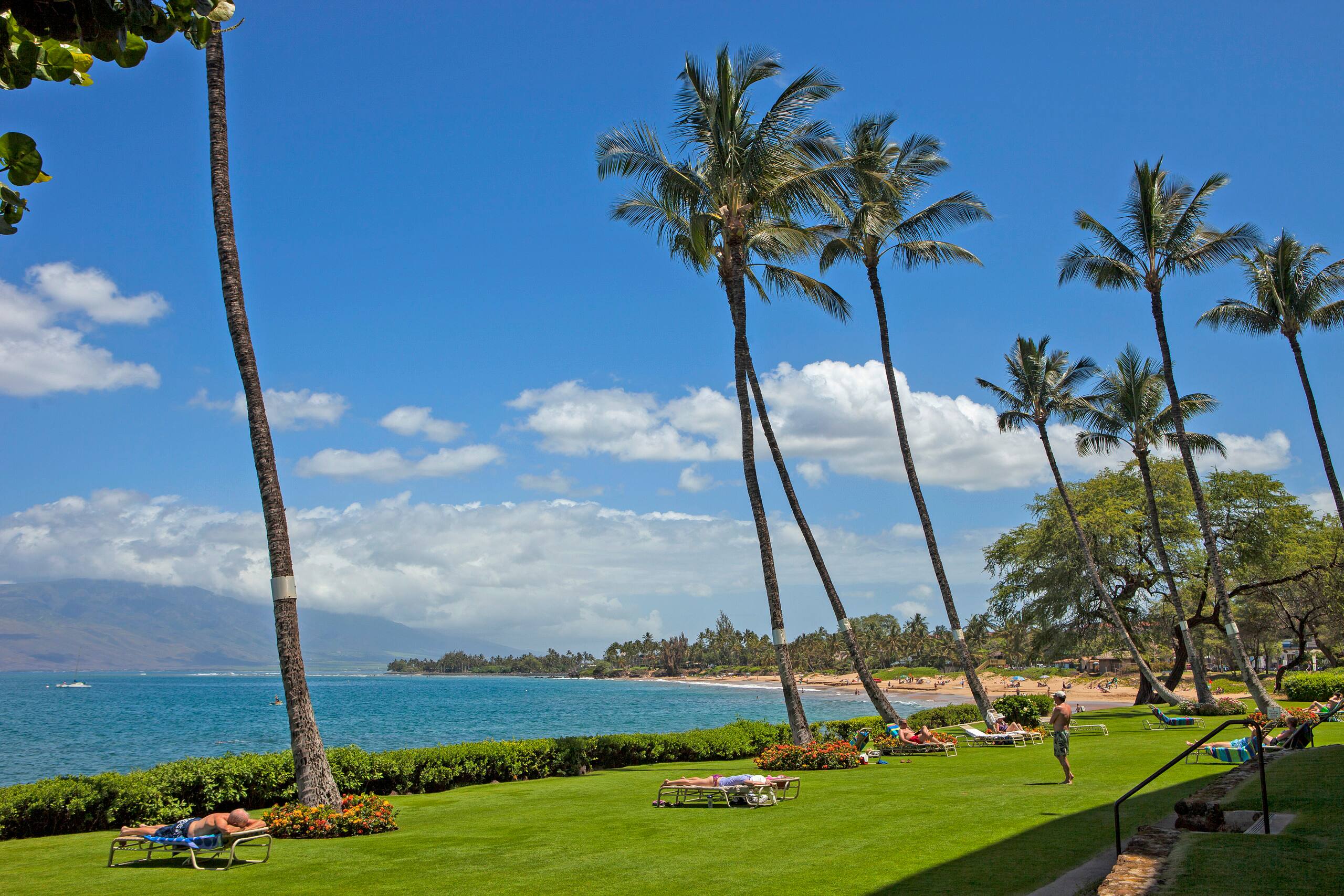 Condo in Kihei · ★5.0 · 2 bedrooms · 2 beds · 2 baths - Image 47
