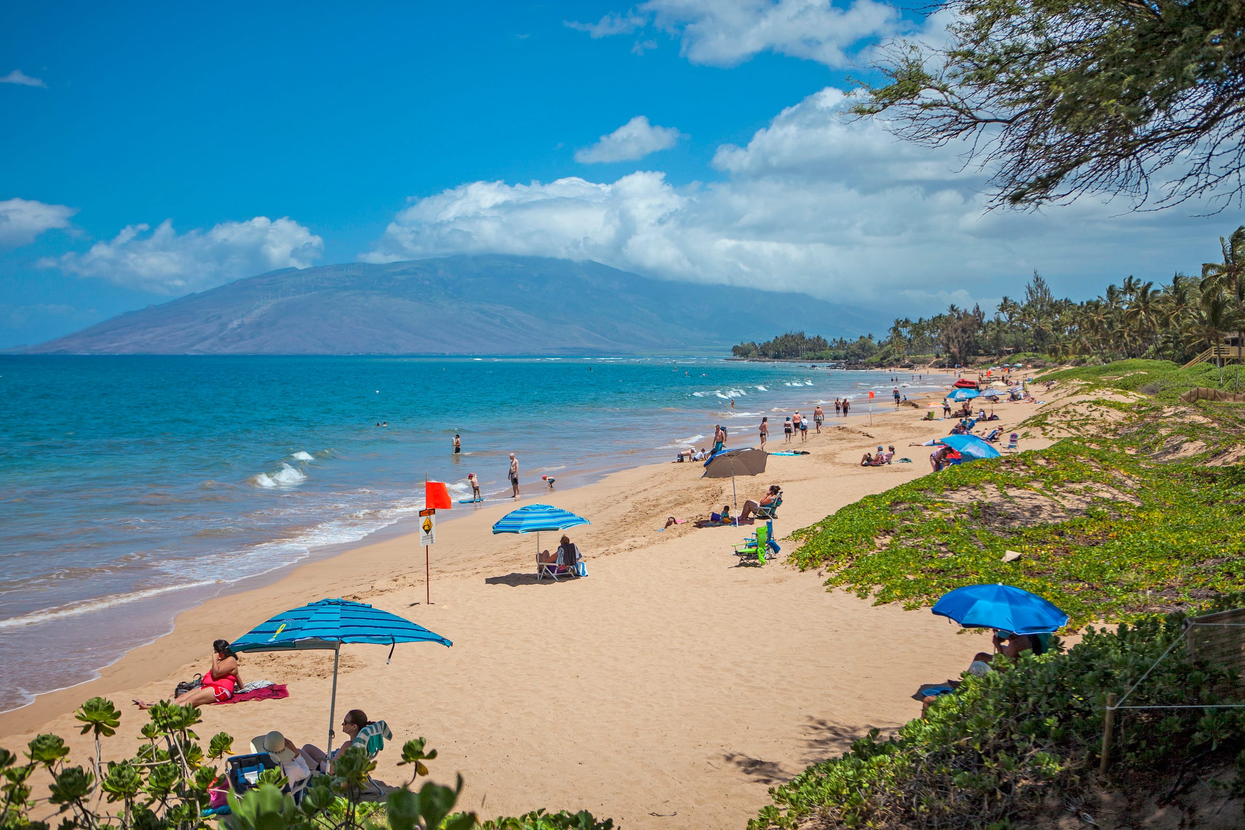 Condo in Kihei · ★5.0 · 2 bedrooms · 2 beds · 2 baths - Image 48