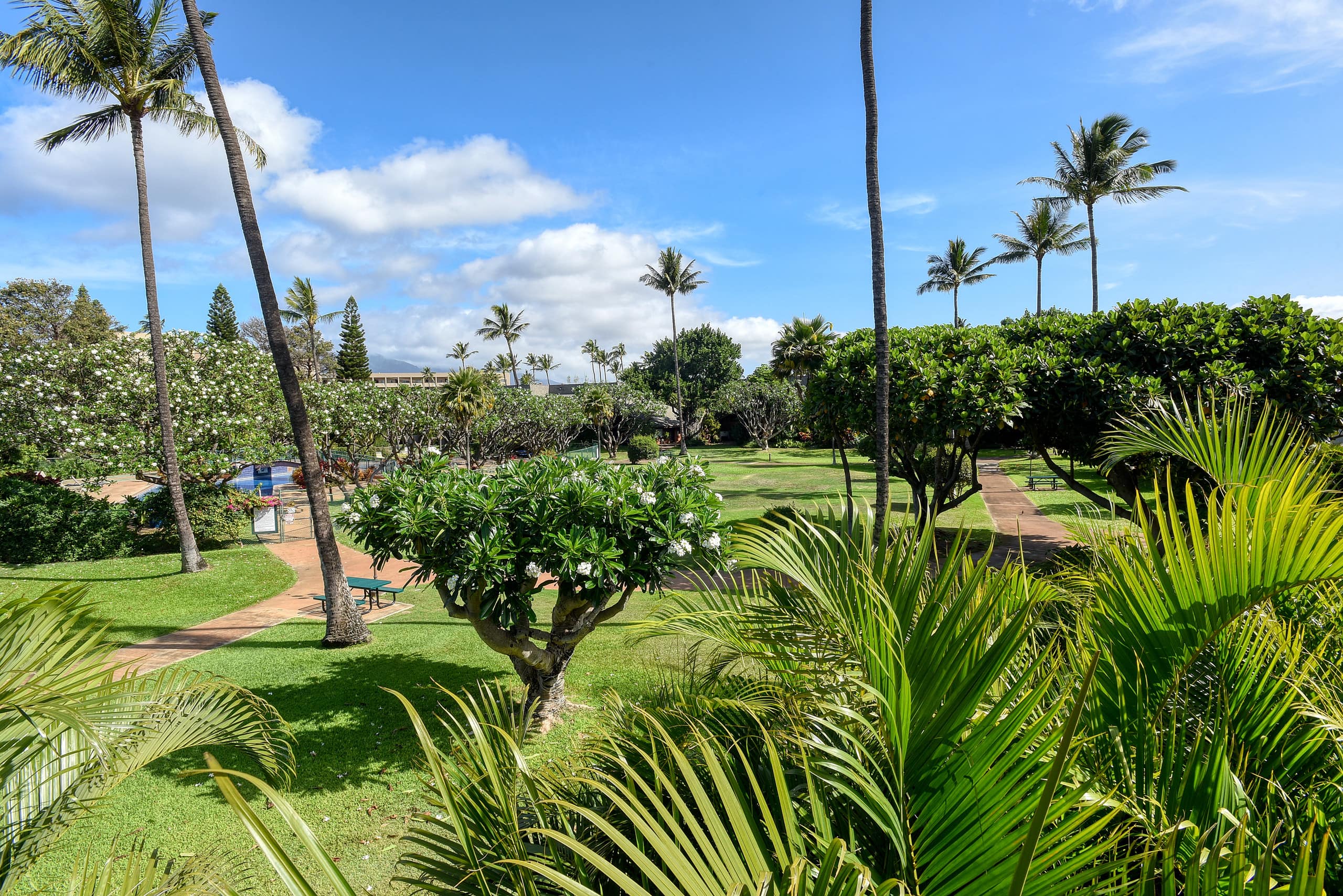 Condo in Kihei · ★4.84 · 2 bedrooms · 4 beds · 2 baths - Image 38