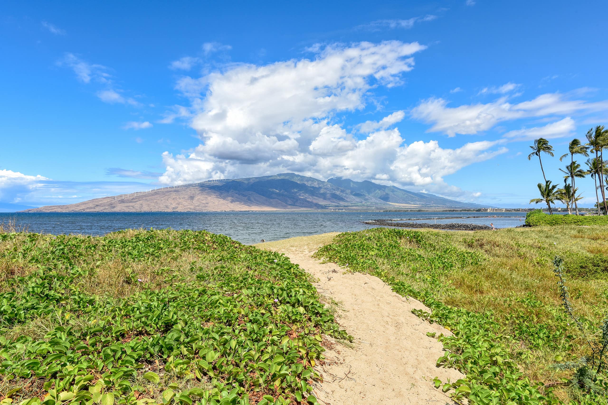 Condo in Kihei · ★4.84 · 2 bedrooms · 4 beds · 2 baths - Image 7