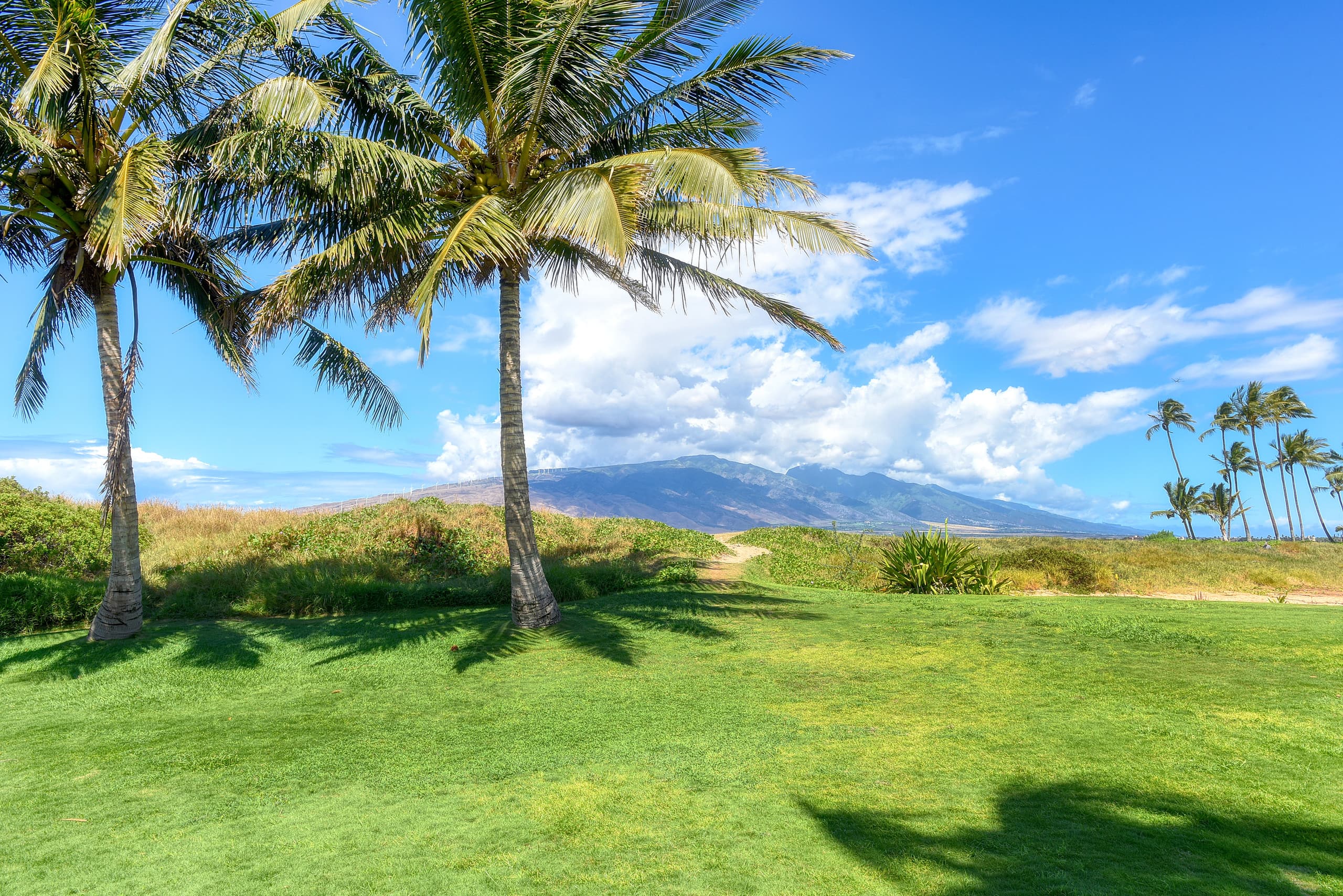 Condo in Kihei · ★4.84 · 2 bedrooms · 4 beds · 2 baths - Image 53