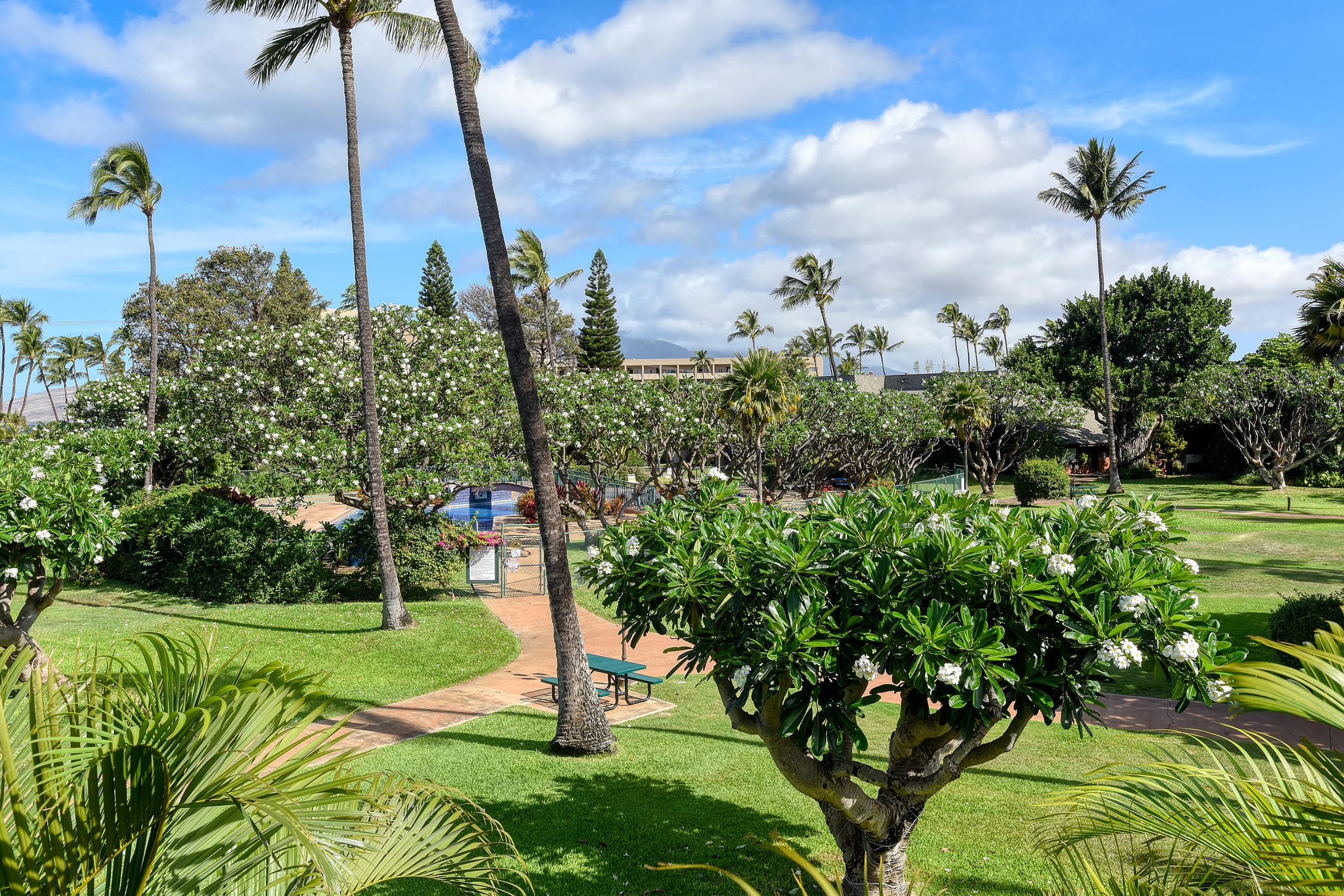Condo in Kihei · ★4.84 · 2 bedrooms · 4 beds · 2 baths - Image 39