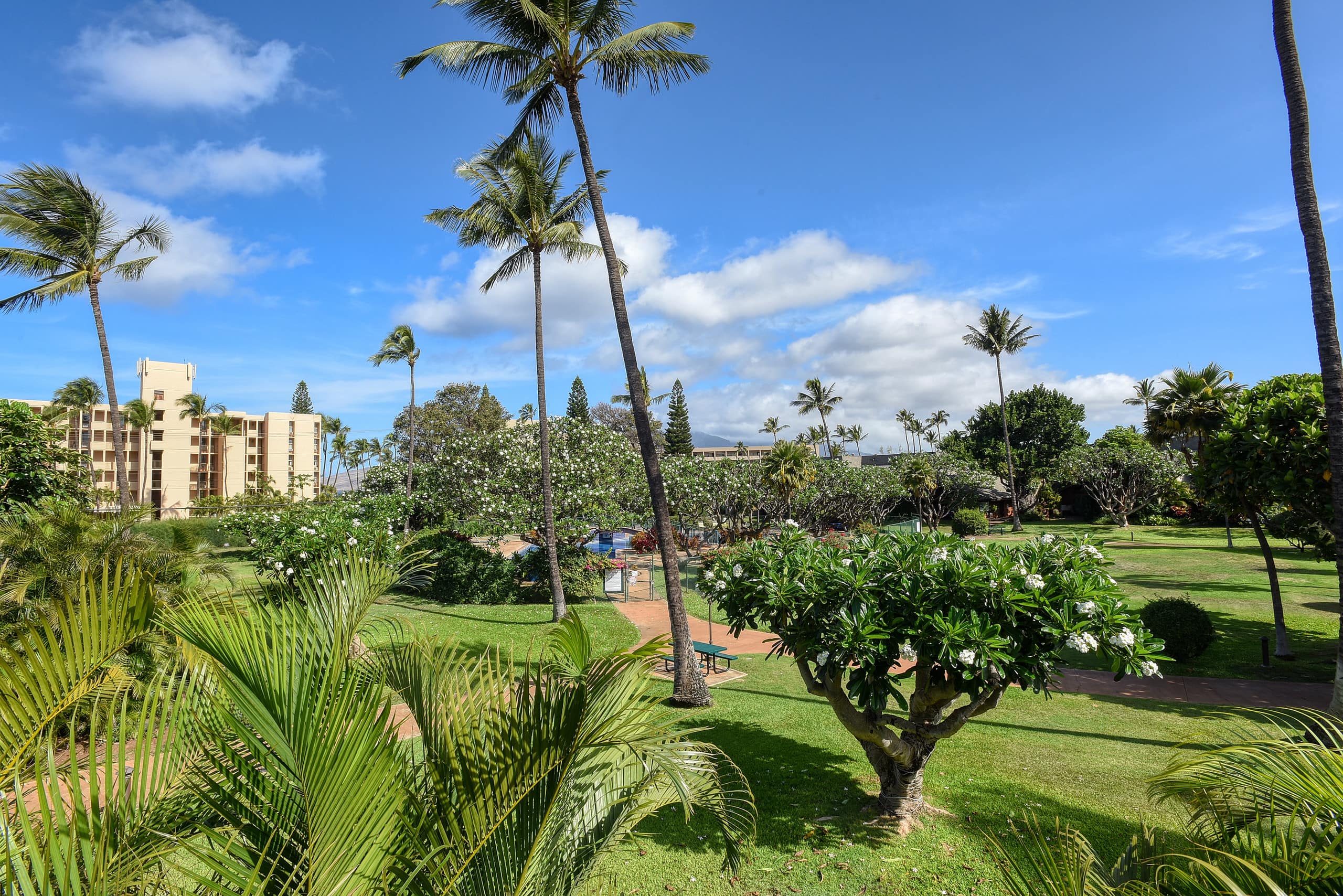 Condo in Kihei · ★4.84 · 2 bedrooms · 4 beds · 2 baths - Image 37