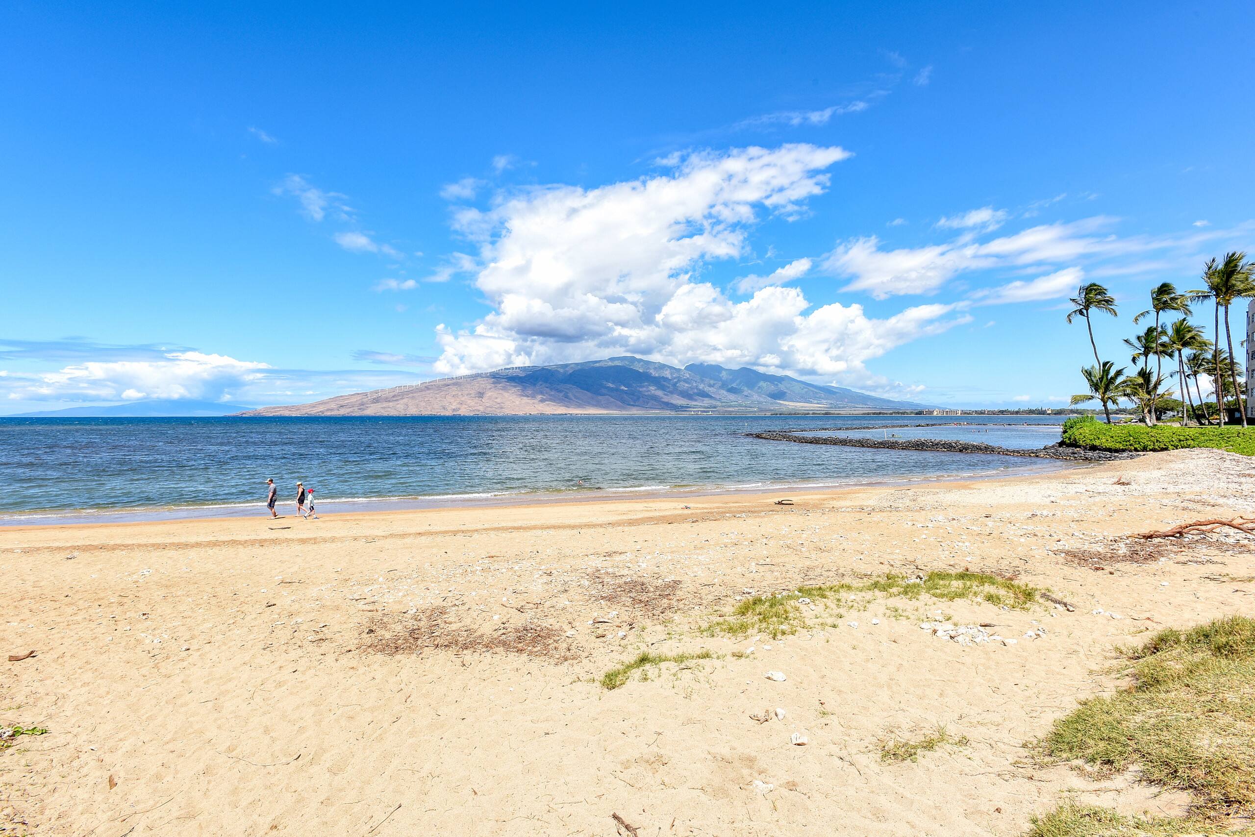Condo in Kihei · ★4.84 · 2 bedrooms · 4 beds · 2 baths - Image 54
