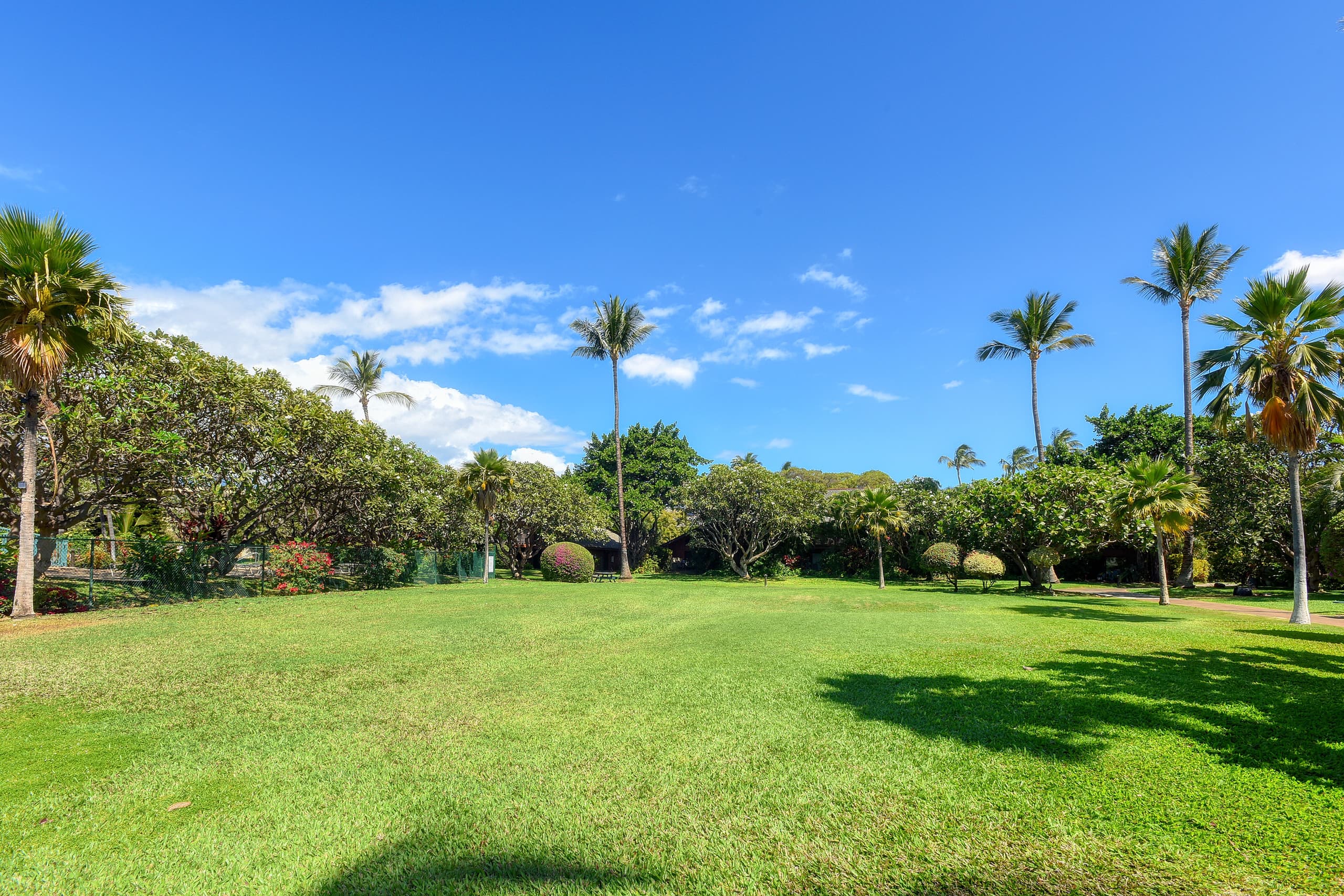 Condo in Kihei · ★4.84 · 2 bedrooms · 4 beds · 2 baths - Image 45