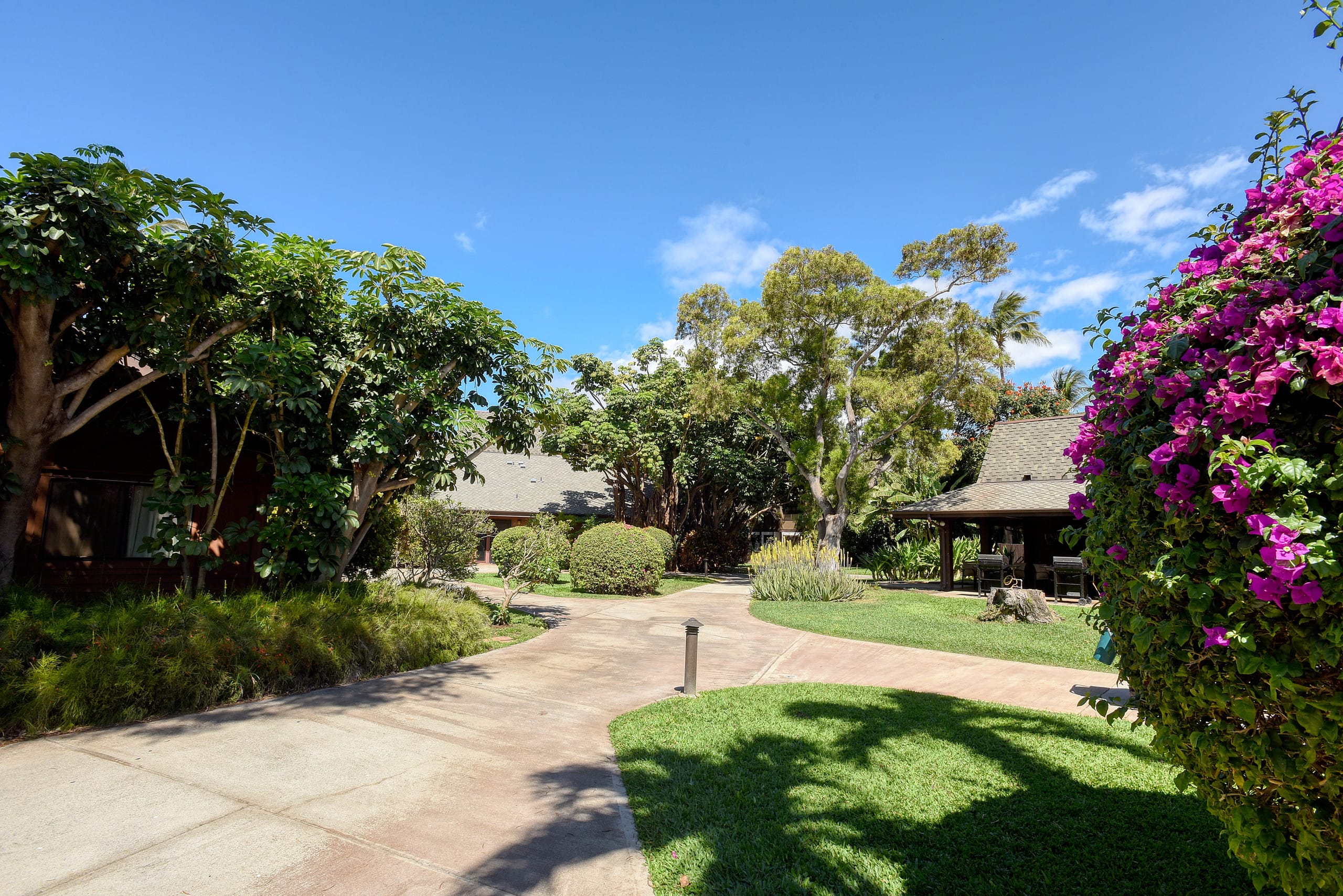 Condo in Kihei · ★4.84 · 2 bedrooms · 4 beds · 2 baths - Image 36