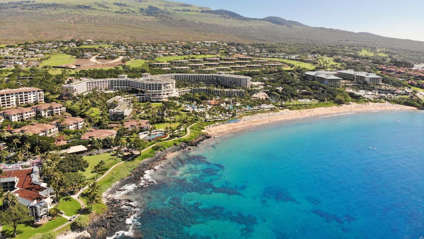 Stunning Luxury Remodel I Wailea Beach Villas J206 gallery image 3