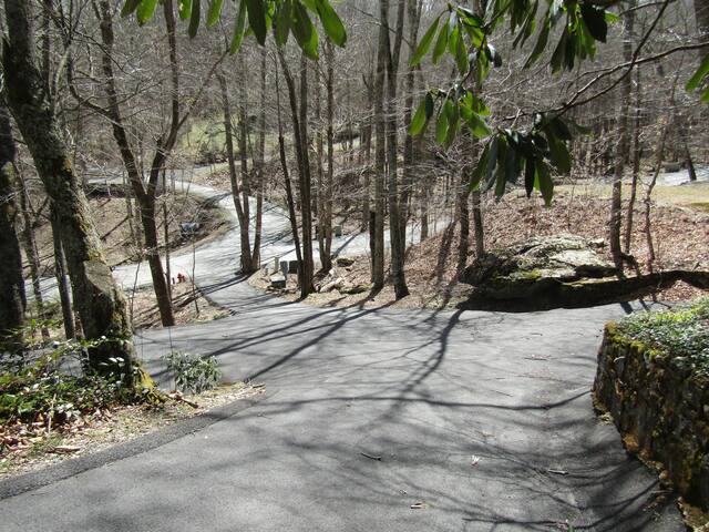 Cody- Sugar Mountain Lodging, Inc. managed Airbnb listing 1