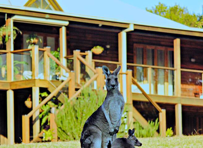 Tranquilo Beach House, 6bds, pool, bch, Disability gallery image 3