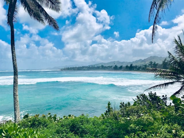 Aloha Manor is Elegant Gated Oceanfront Living!