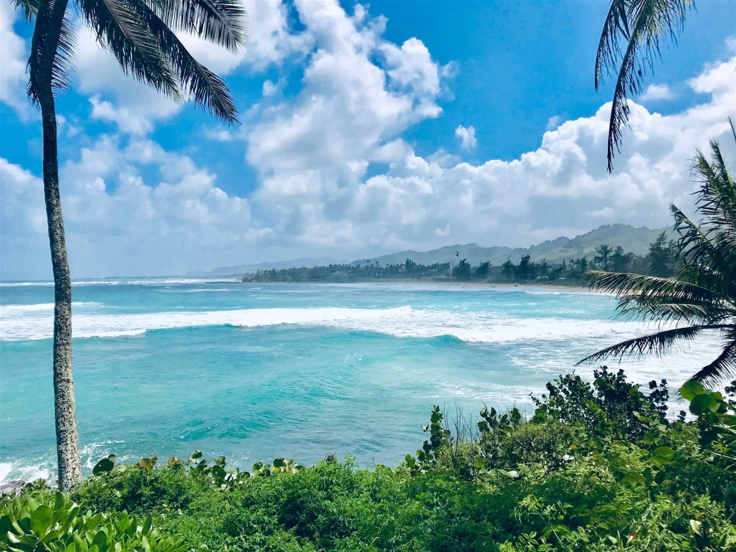 Aloha Manor is Elegant Gated Oceanfront Living - Main photo