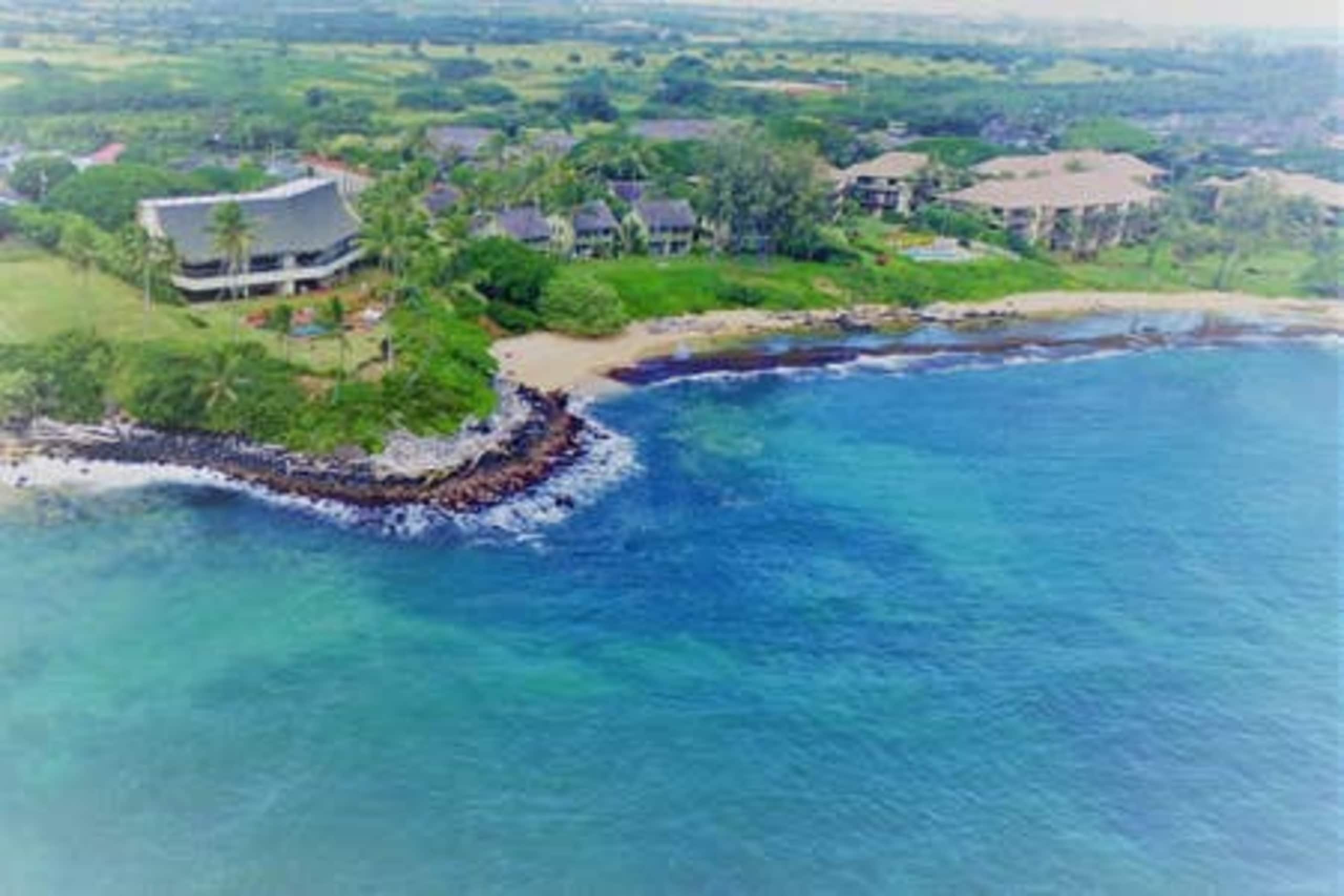 Aloha Manor is Elegant Gated Oceanfront Living - Photo 24