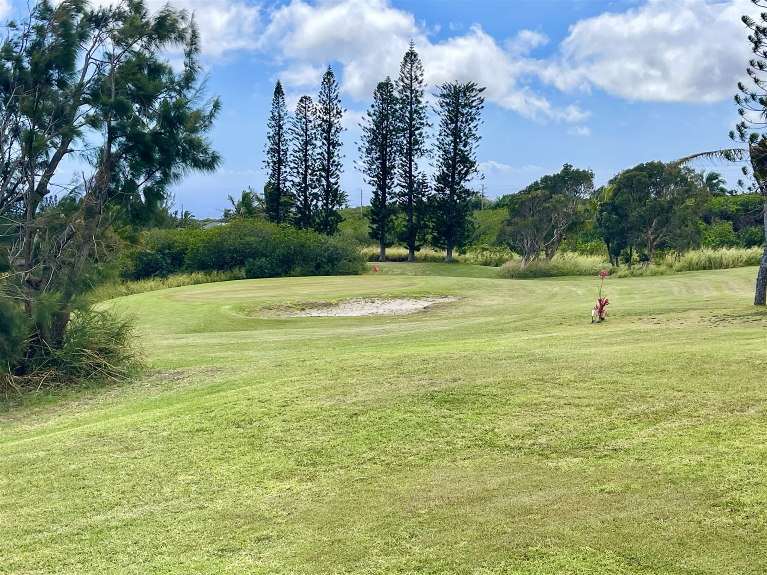 Home in Naalehu · ★4.81 · 2 bedrooms · 3 beds · 2 private baths - Image 14