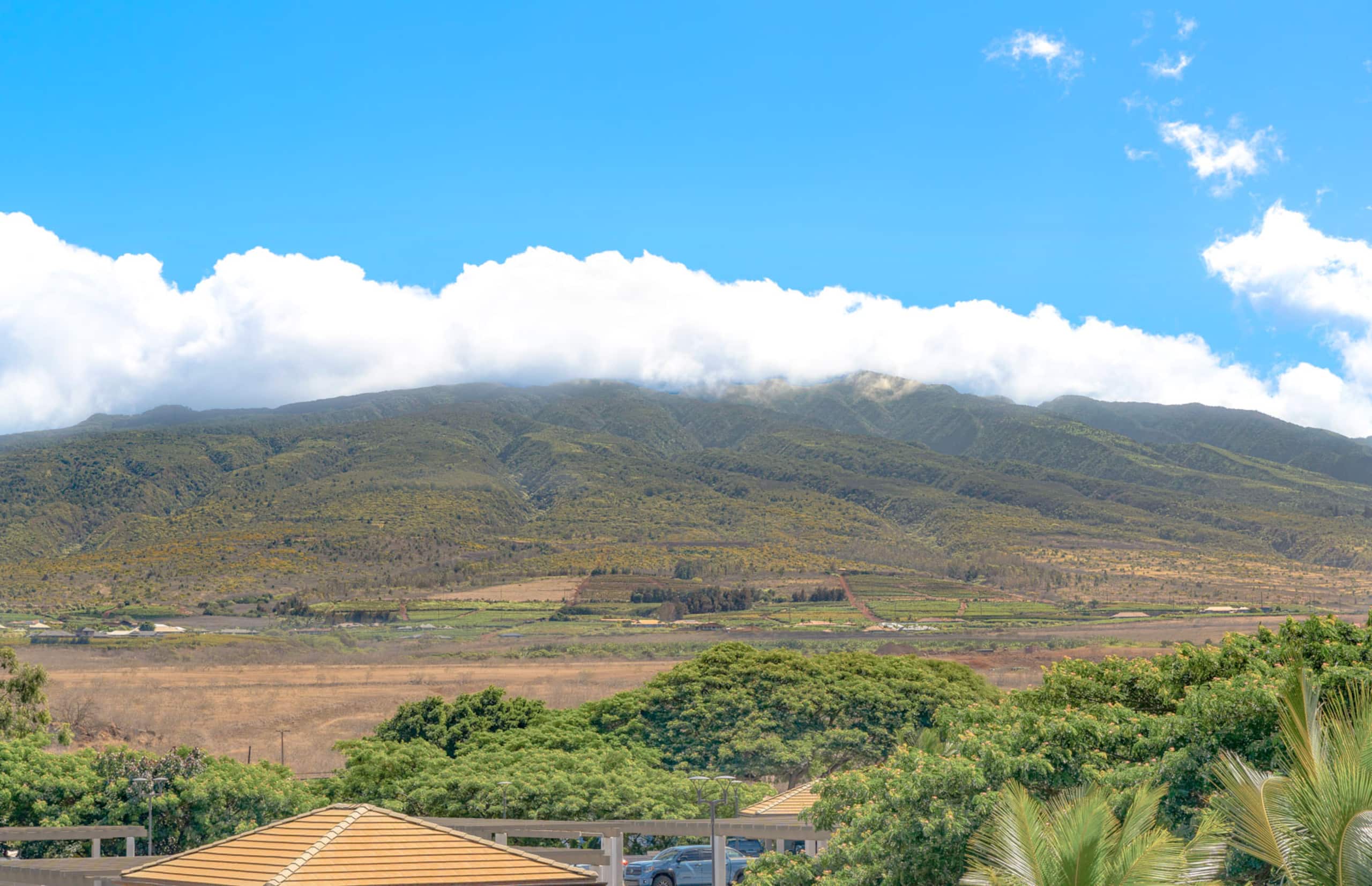 Condo in Lahaina · ★4.92 · 2 bedrooms · 3 beds · 2 baths - Image 16
