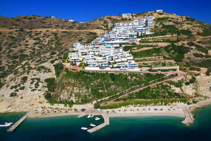 Untitled Listing gallery image 3