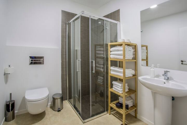 Deluxe 2 Bedroom Apartment – Malasaña gallery image 5