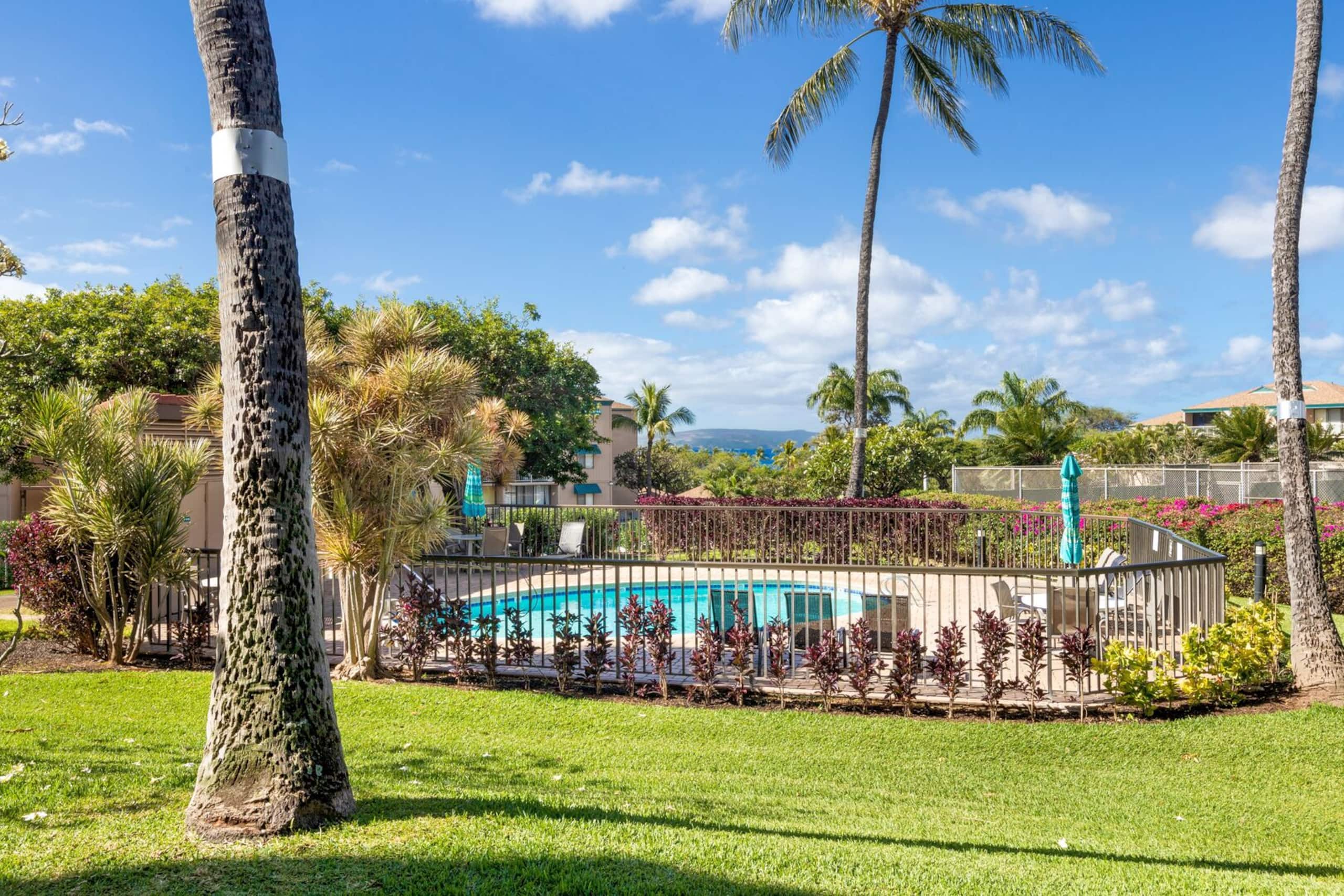 Condo in Kihei · ★4.71 · 1 bedroom · 1 bed · 1 bath - Image 8