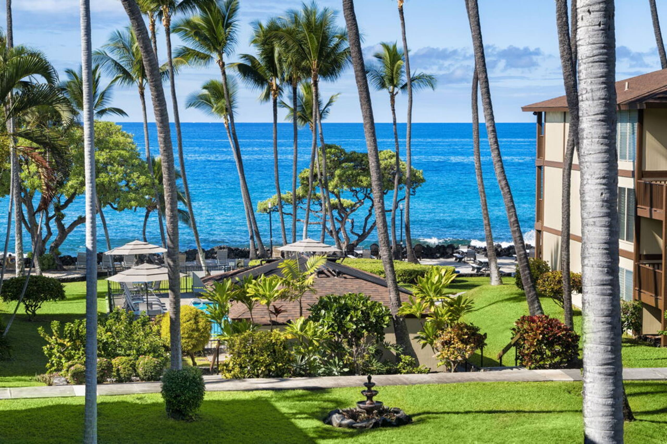 Condo in Kailua-Kona · ★4.83 · 1 bedroom · 2 beds · 1 bath - Image 12