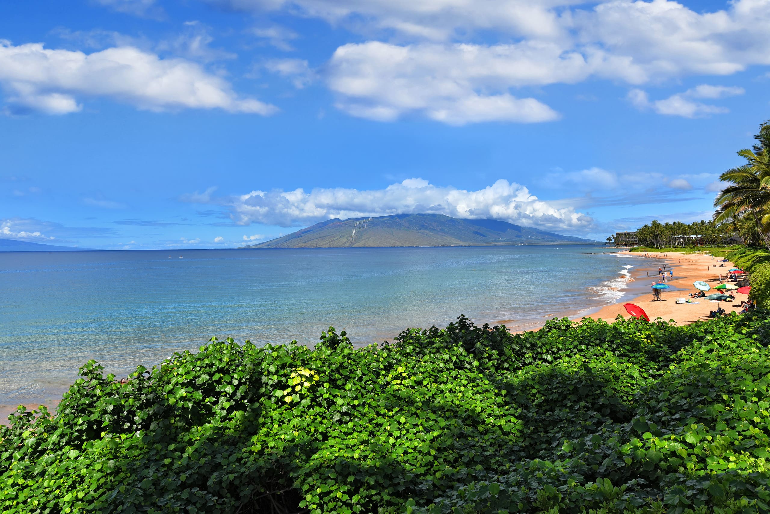 Condo in Kihei · ★4.67 · 1 bedroom · 2 beds · 2 baths - Image 45