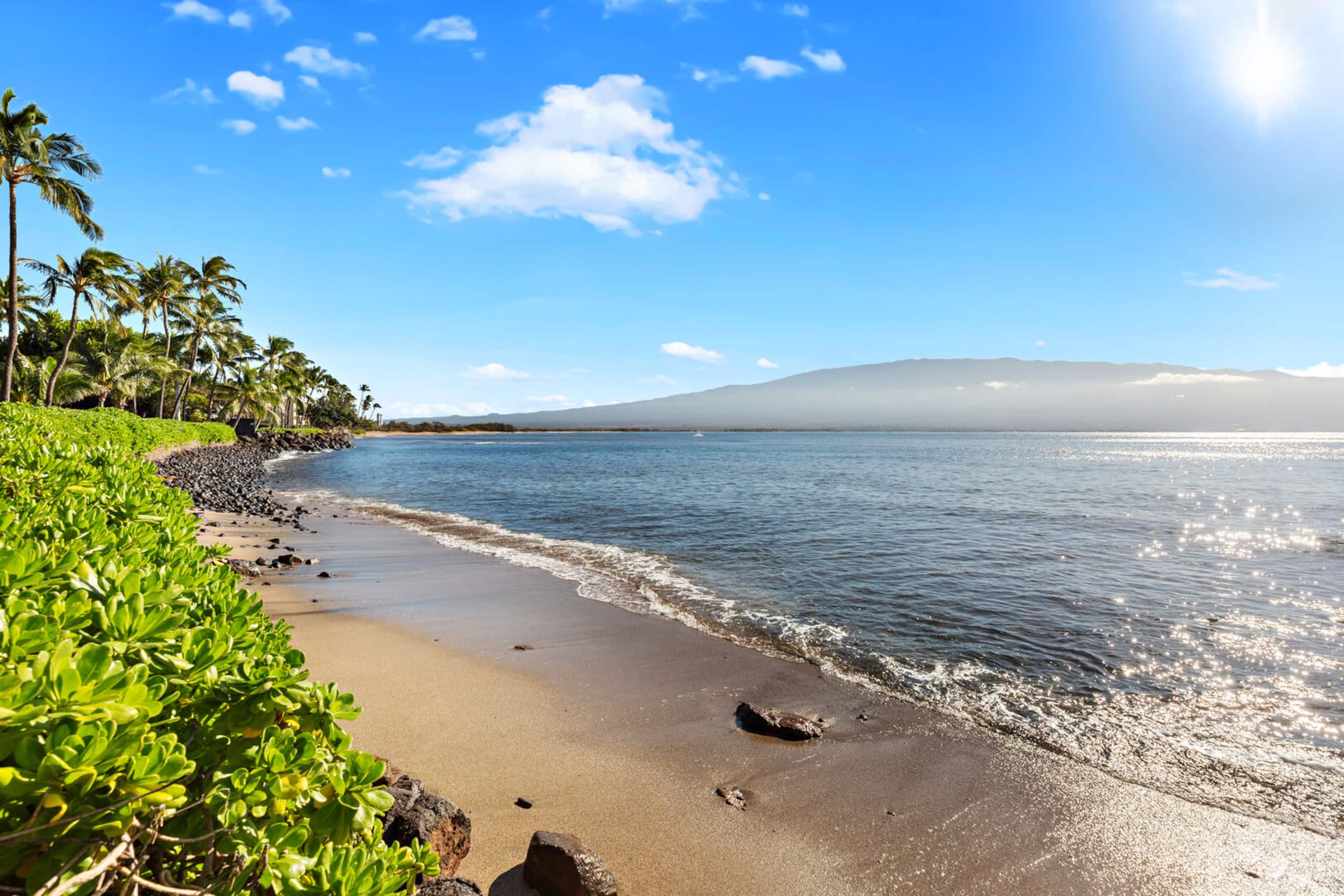Condo in Wailuku · ★4.74 · 2 bedrooms · 3 beds · 2 private baths - Image 38
