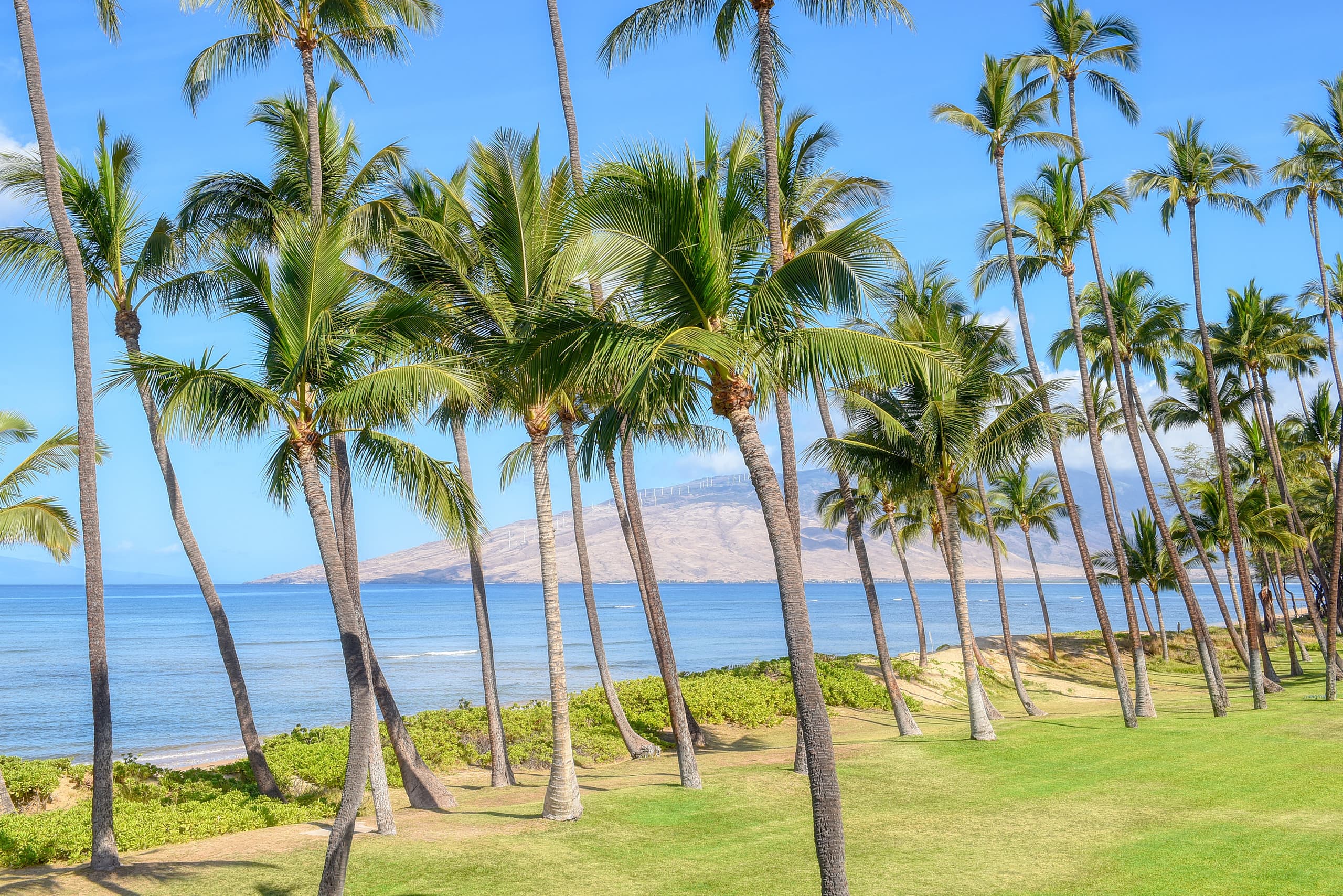 Condo in Kihei · ★4.89 · 3 bedrooms · 3 beds · 3 baths - Image 30