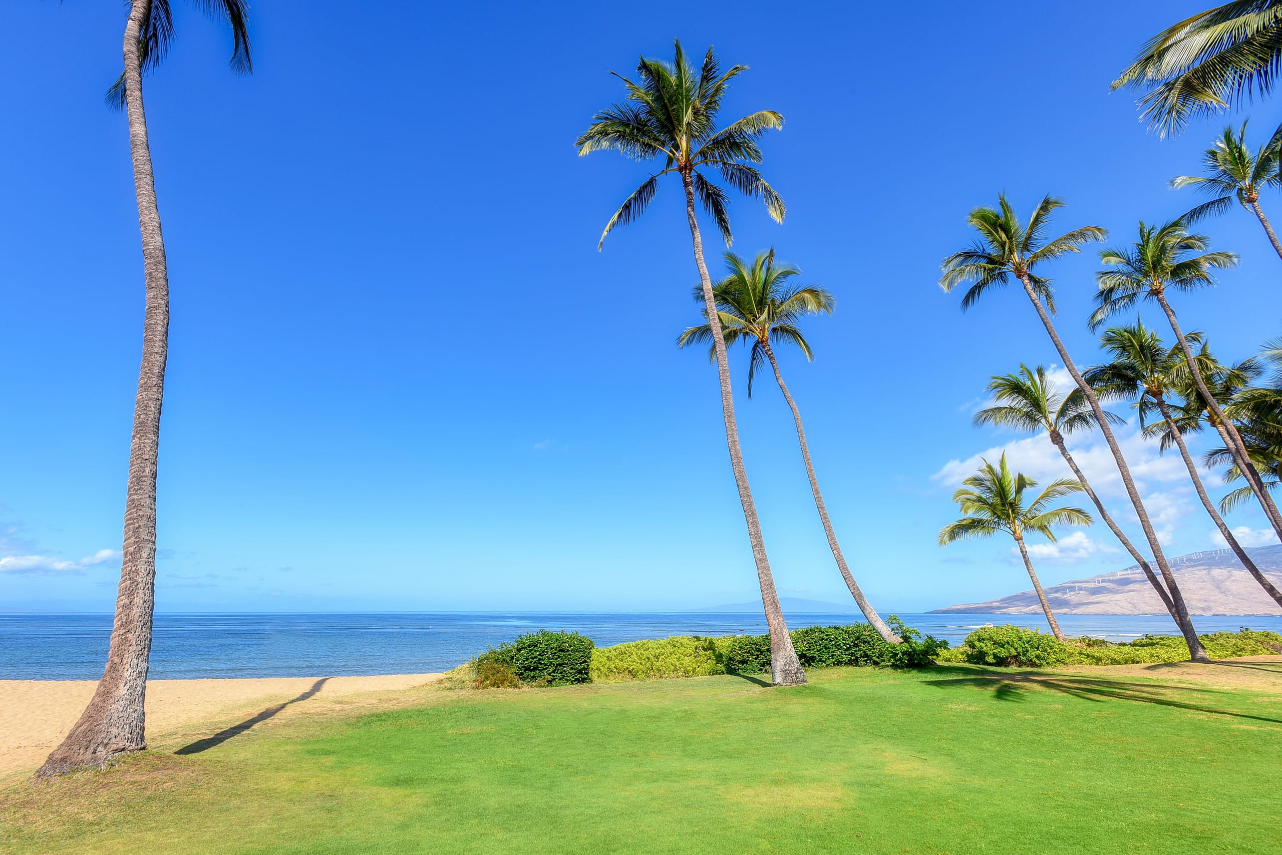 Condo in Kihei · ★5.0 · 3 bedrooms · 3 beds · 3 baths - Image 28