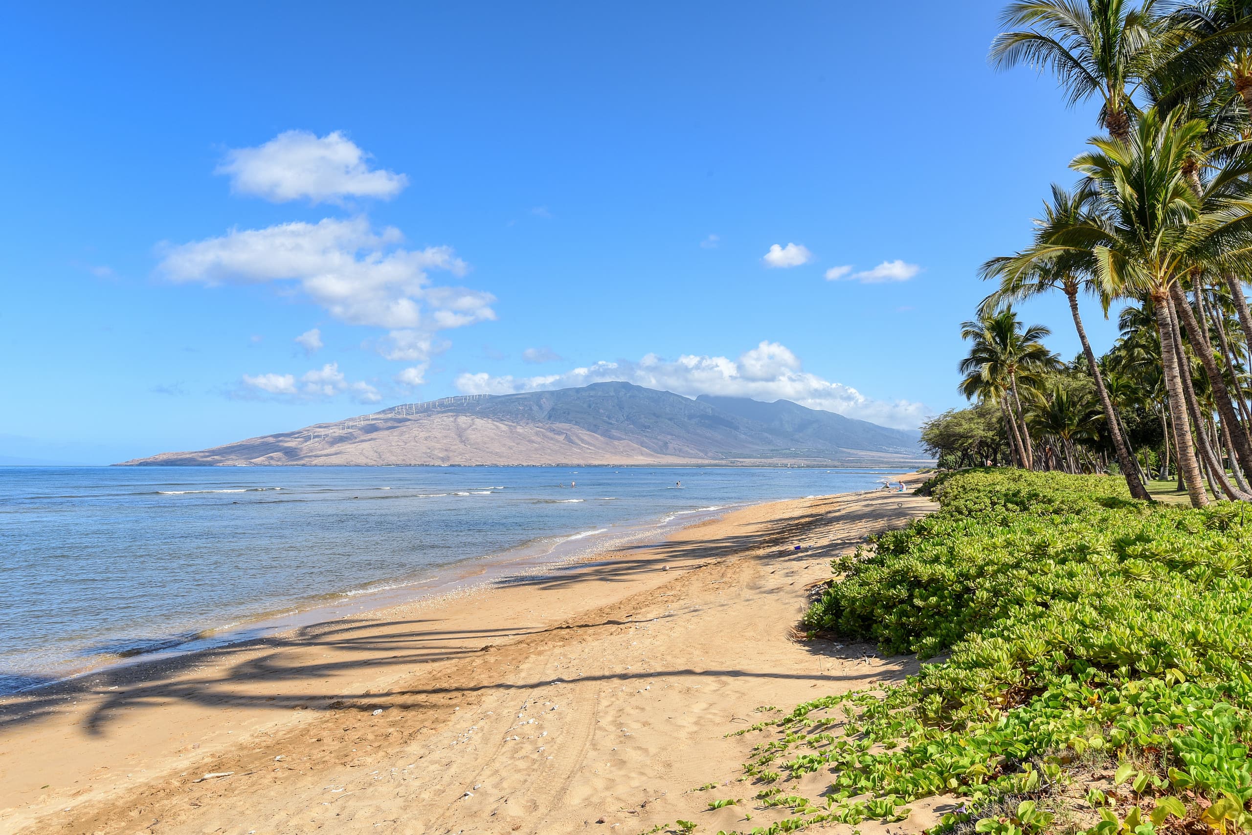 Condo in Kihei · ★5.0 · 3 bedrooms · 3 beds · 3 baths - Image 29