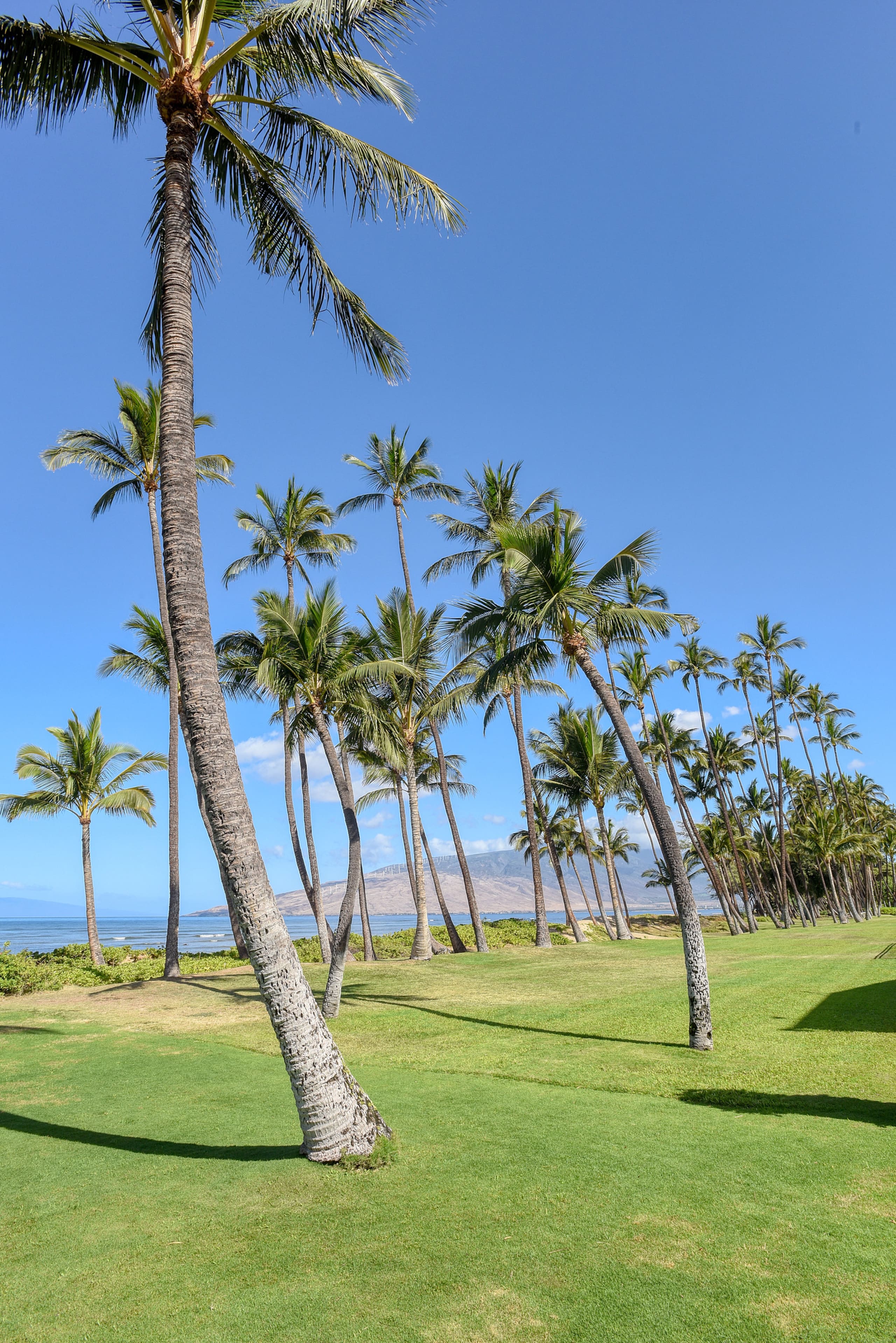 Condo in Kihei · ★5.0 · 3 bedrooms · 3 beds · 3 baths - Image 33