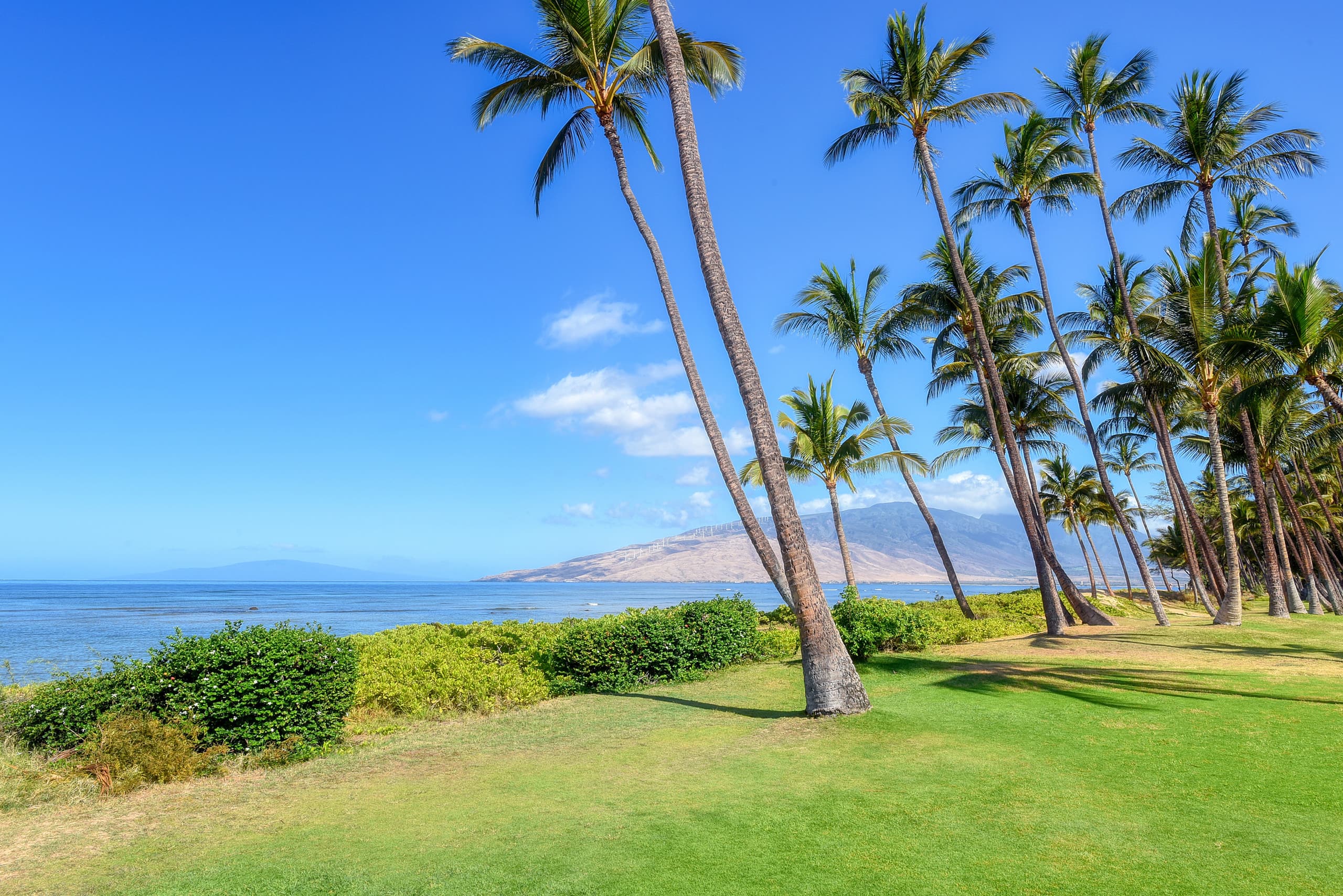Condo in Kihei · ★5.0 · 3 bedrooms · 3 beds · 3 baths - Image 30