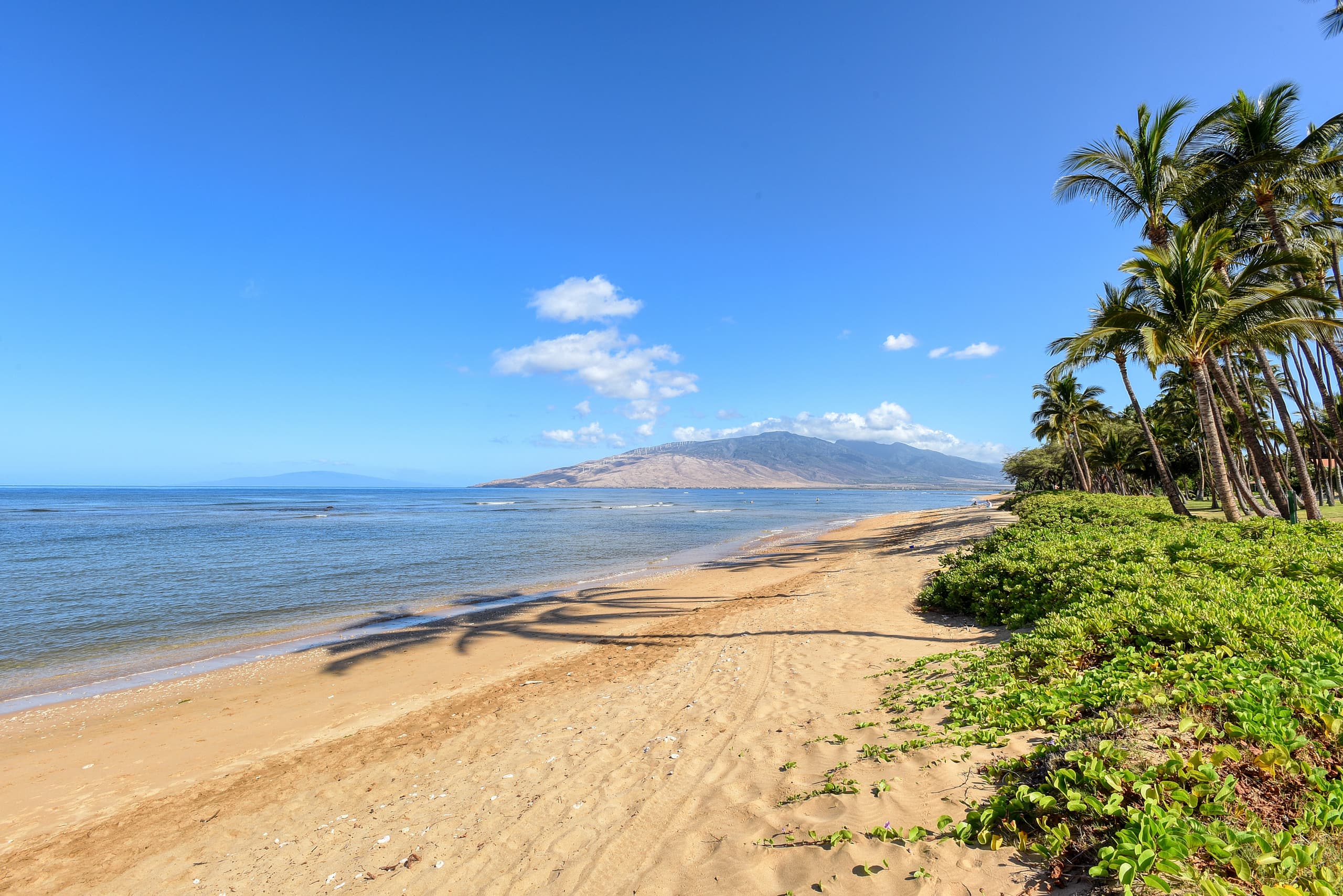 Condo in Kihei · ★5.0 · 3 bedrooms · 3 beds · 3 baths - Image 3