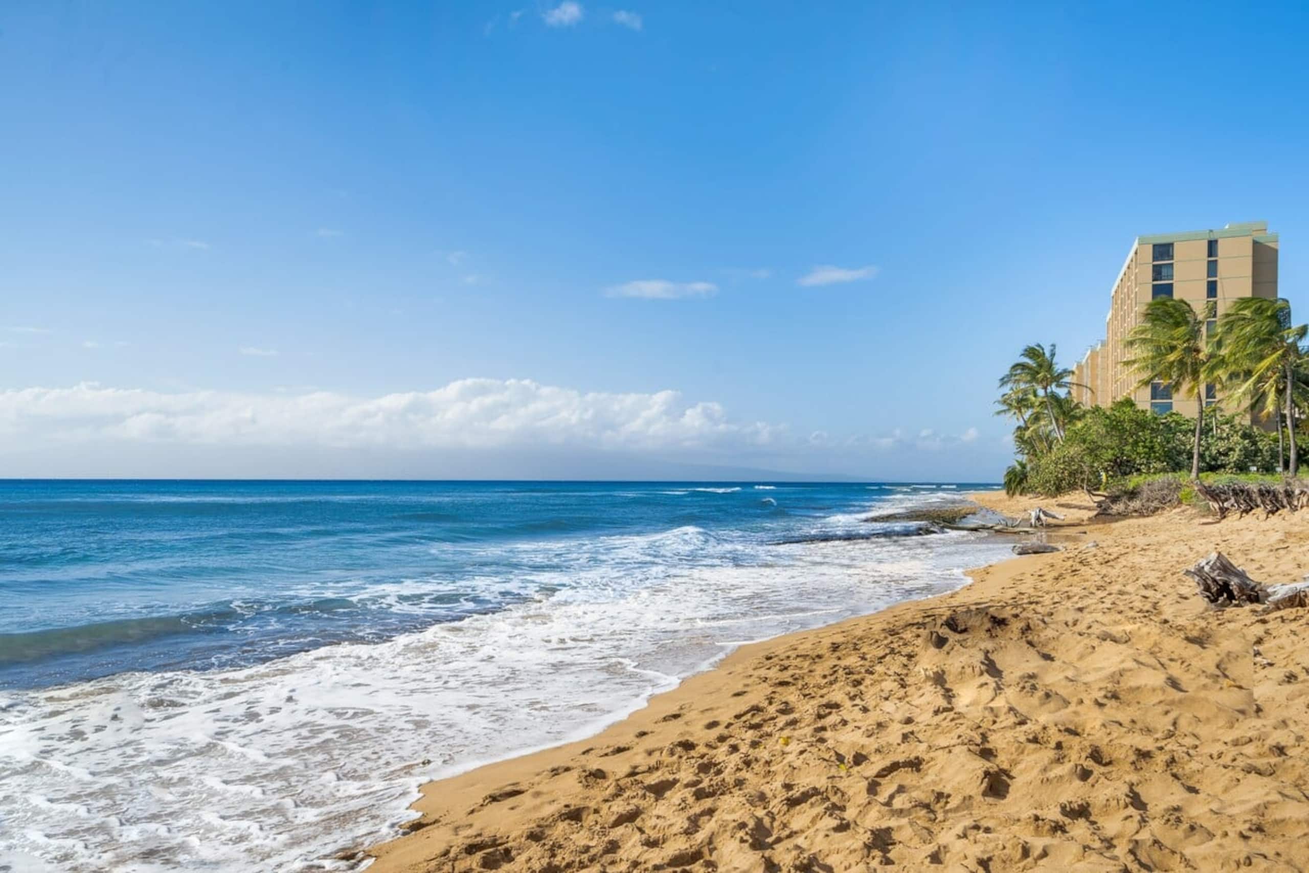 Condo in Lahaina · ★4.69 · 1 bedroom · 2 beds · 1 bath - Image 22