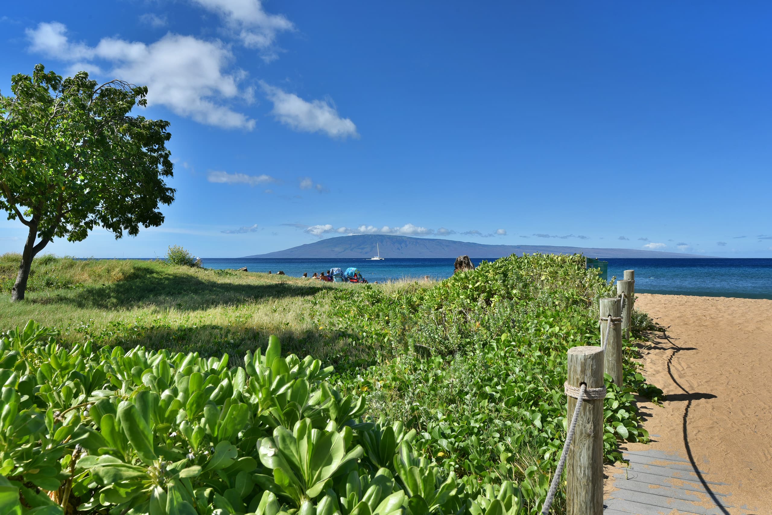 Condo in Lahaina · ★4.69 · 1 bedroom · 2 beds · 1 bath - Image 24