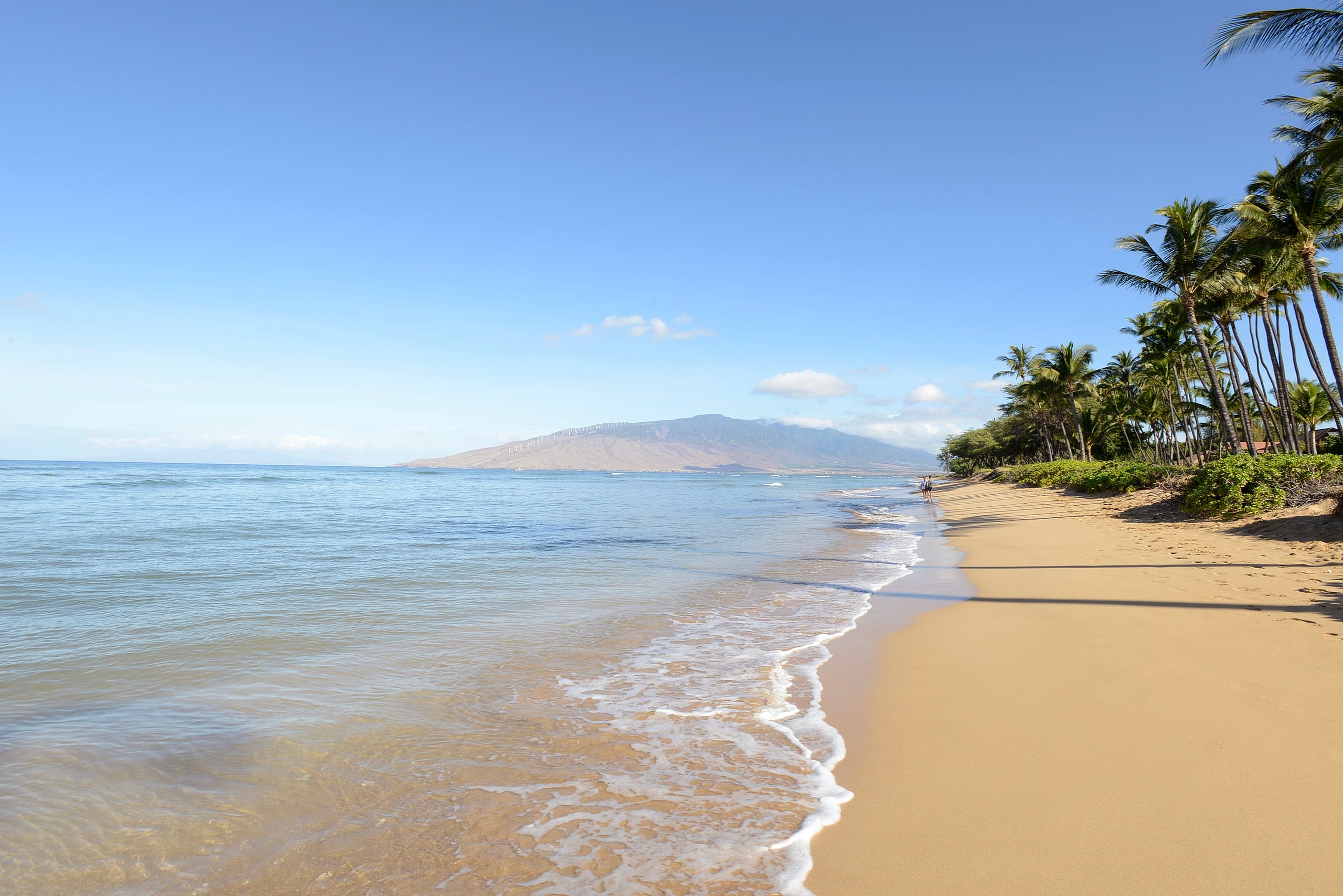Condo in Kihei · ★4.89 · 3 bedrooms · 3 beds · 3 baths - Image 42