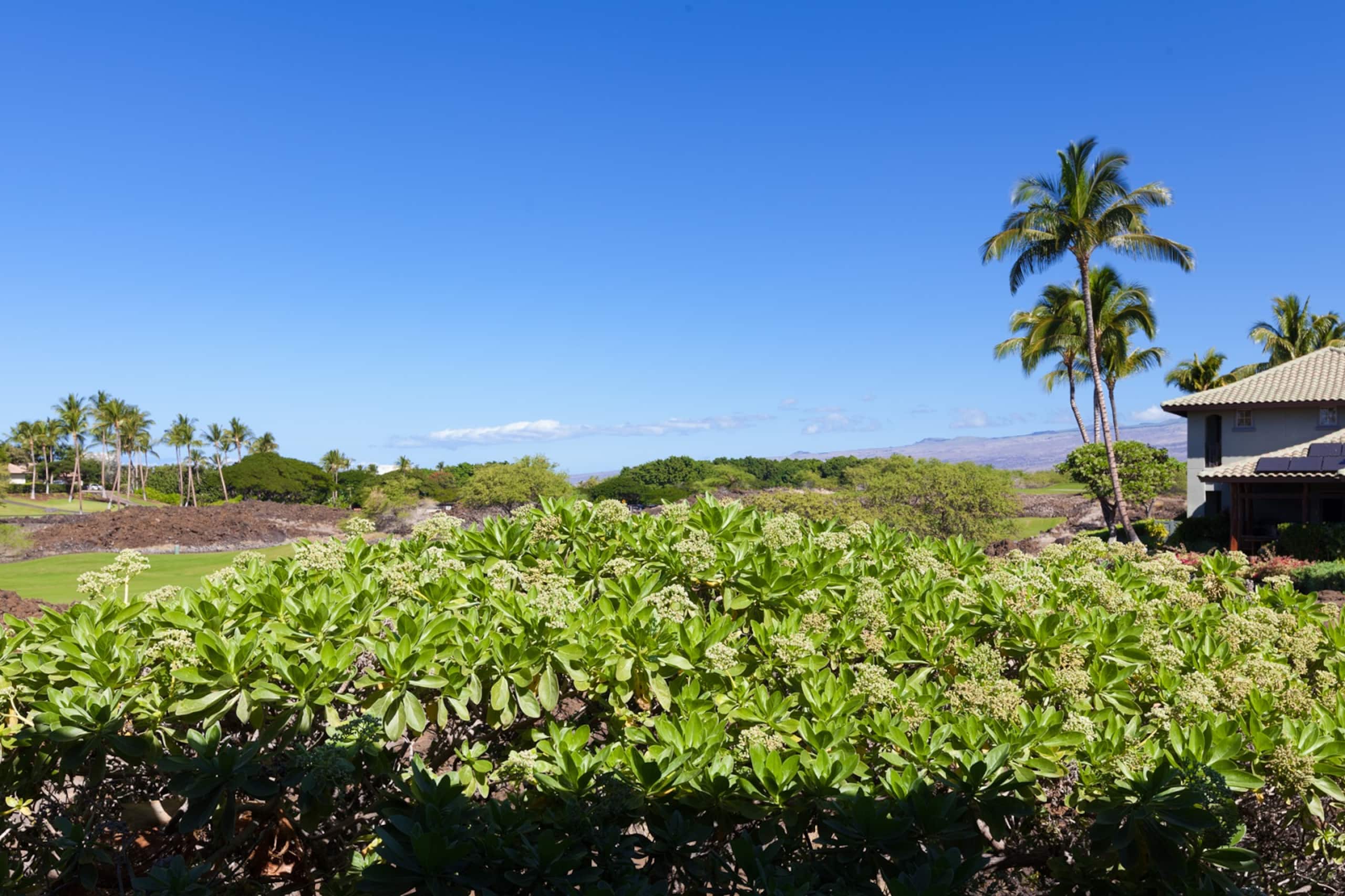 Townhouse in Waimea · ★4.86 · 2 bedrooms · 2 beds · 2 baths - Image 27