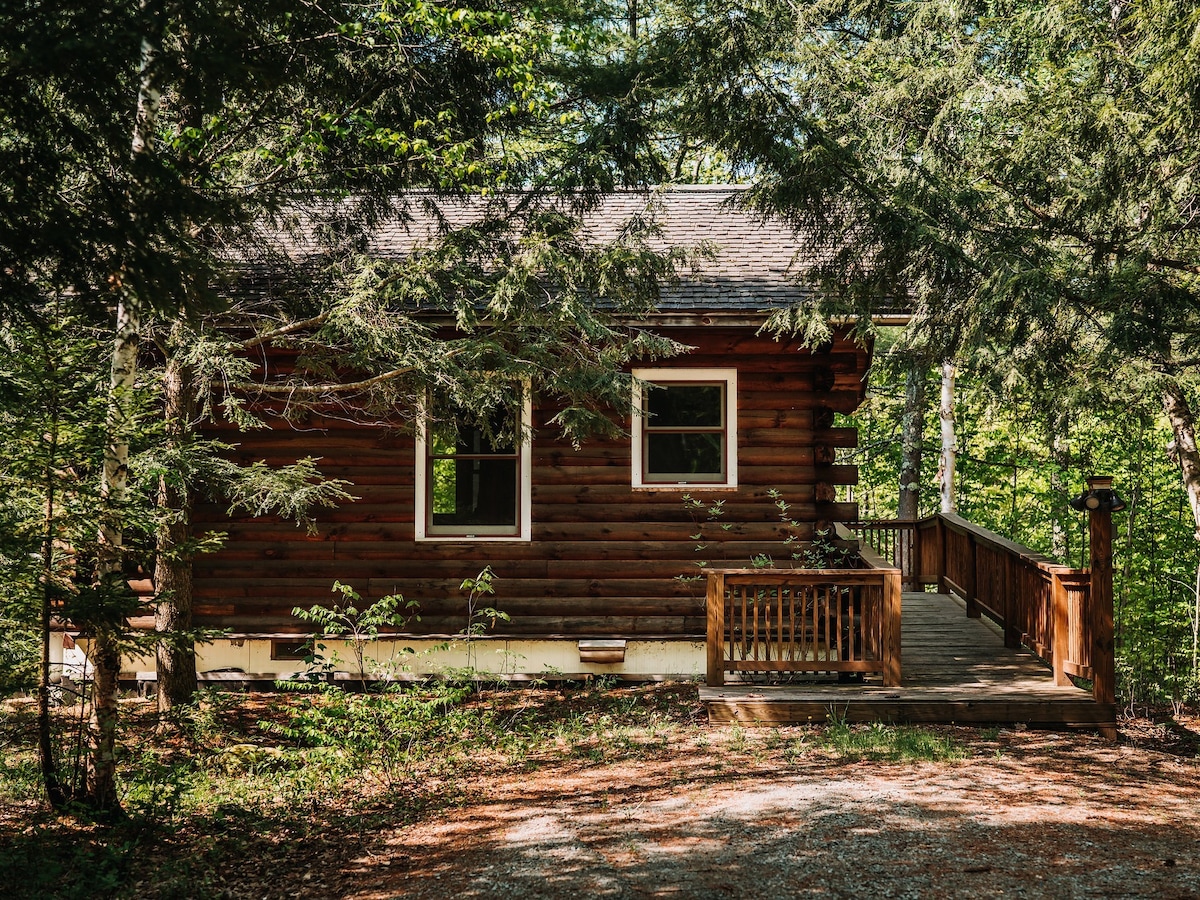 A rustic cabin constructed from natural wood is nestled among lush greenery. Windows framed in white allow natural light to enter, and a wooden deck extends from the entrance, offering a serene space surrounded by towering trees.