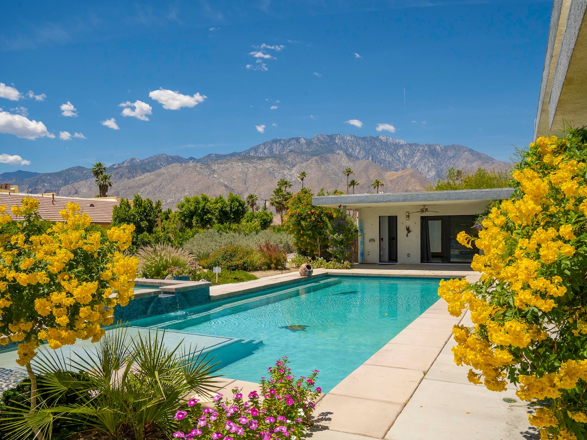 Casa Azul - Luxury 4BR/4BA Private Compound - Houses for Rent in