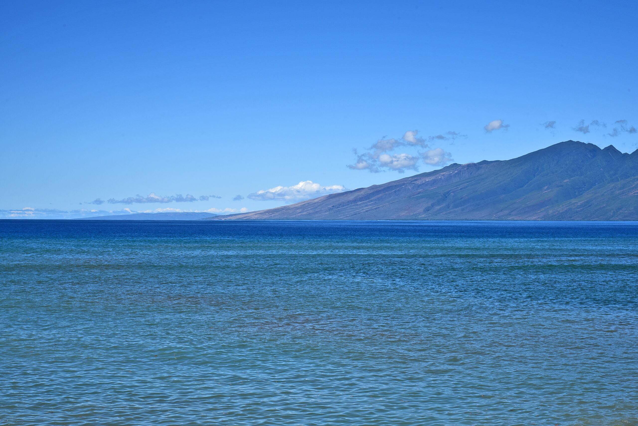 Condo in Lahaina · ★4.65 · 2 bedrooms · 4 beds · 2 baths - Image 38