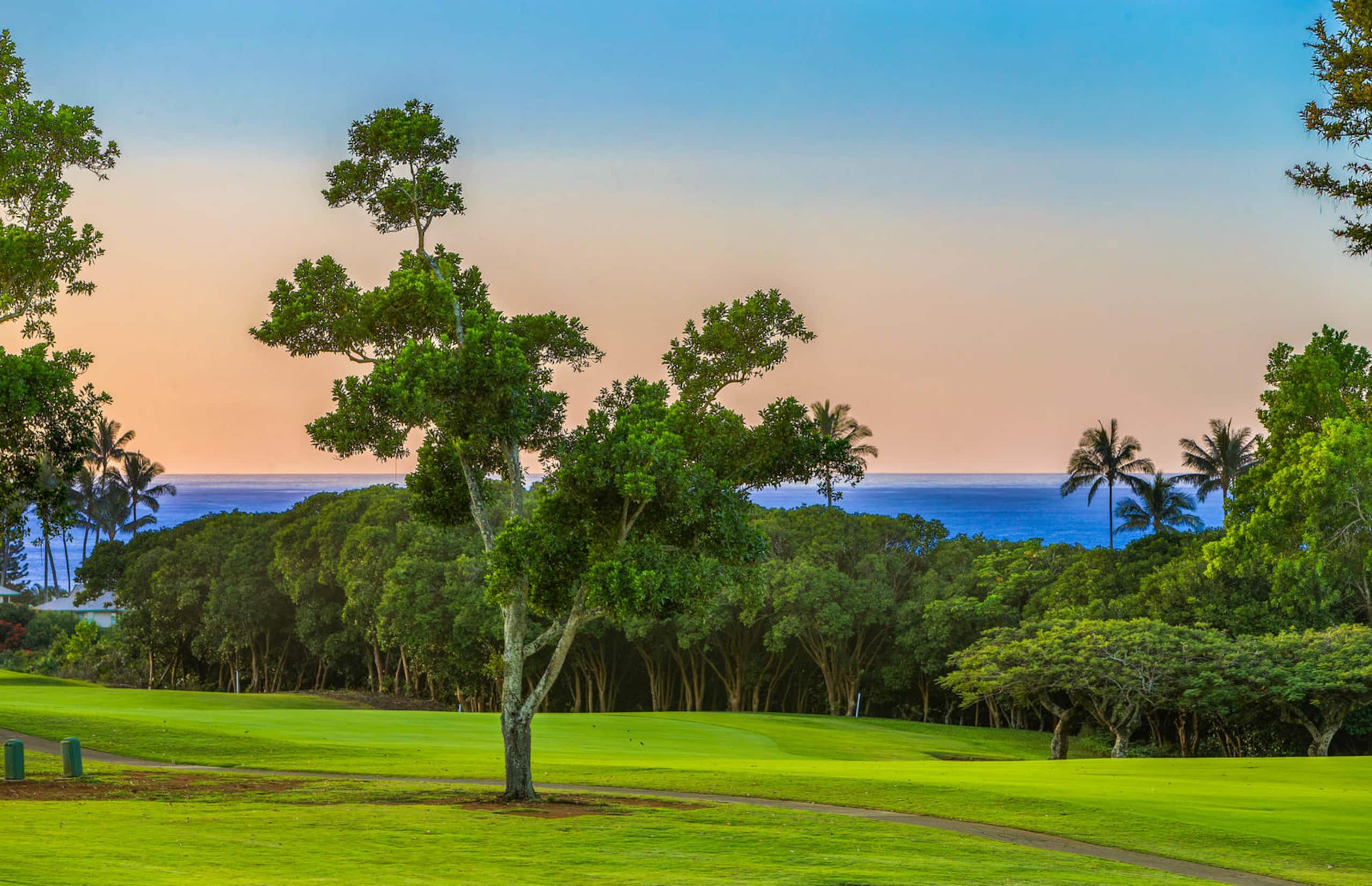 Home in Princeville · ★4.94 · 3 bedrooms · 6 beds · 3.5 shared baths - Image 37