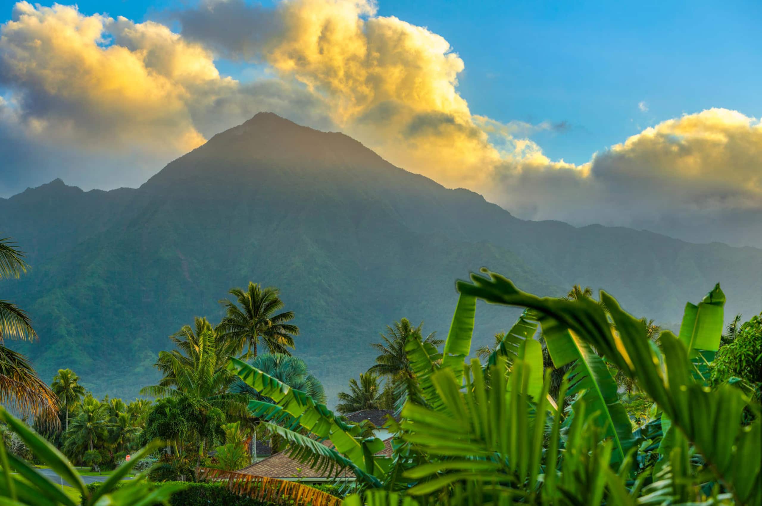 Home in Princeville · ★4.94 · 3 bedrooms · 6 beds · 3.5 shared baths - Image 38