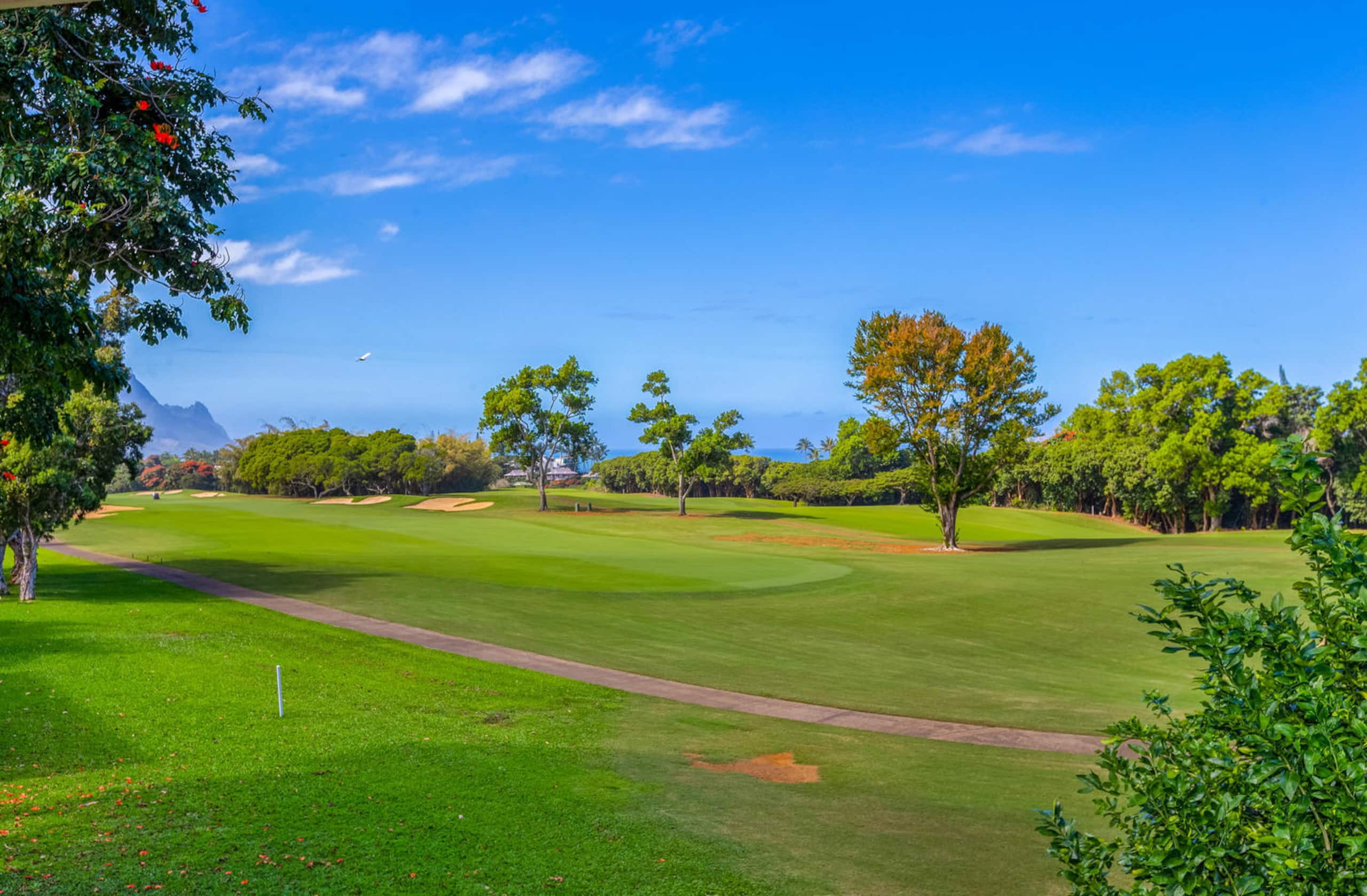 Home in Princeville · ★4.94 · 3 bedrooms · 6 beds · 3.5 shared baths - Image 35