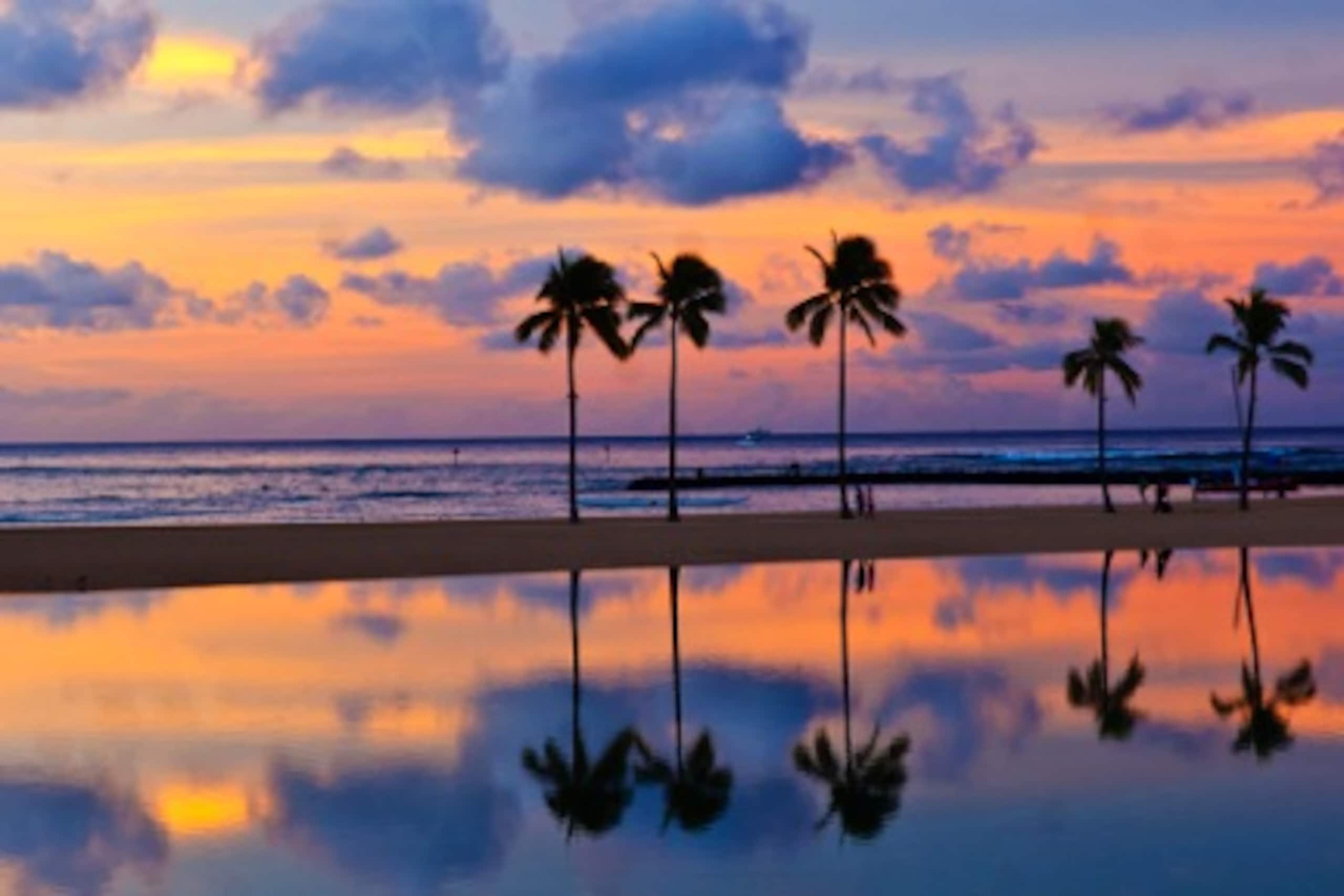 Condo in Honolulu · ★5.0 · 2 bedrooms · 3 beds · 2 baths - Image 25