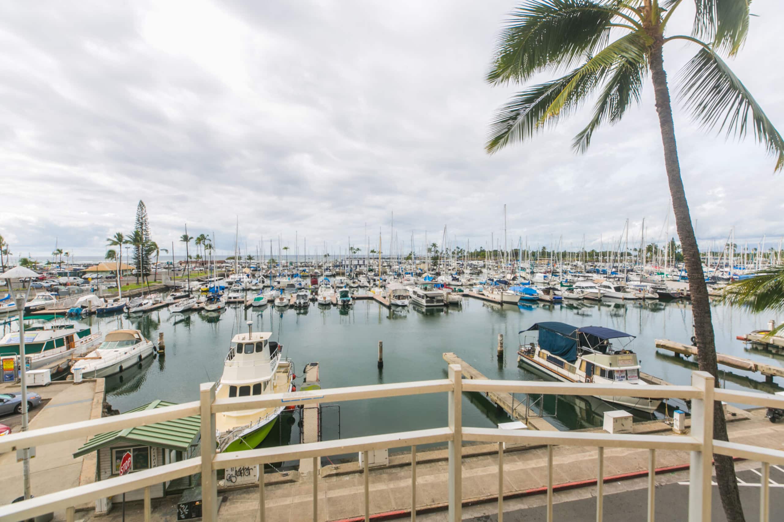Island Oasis - Minutes to the Beach! - Image 13