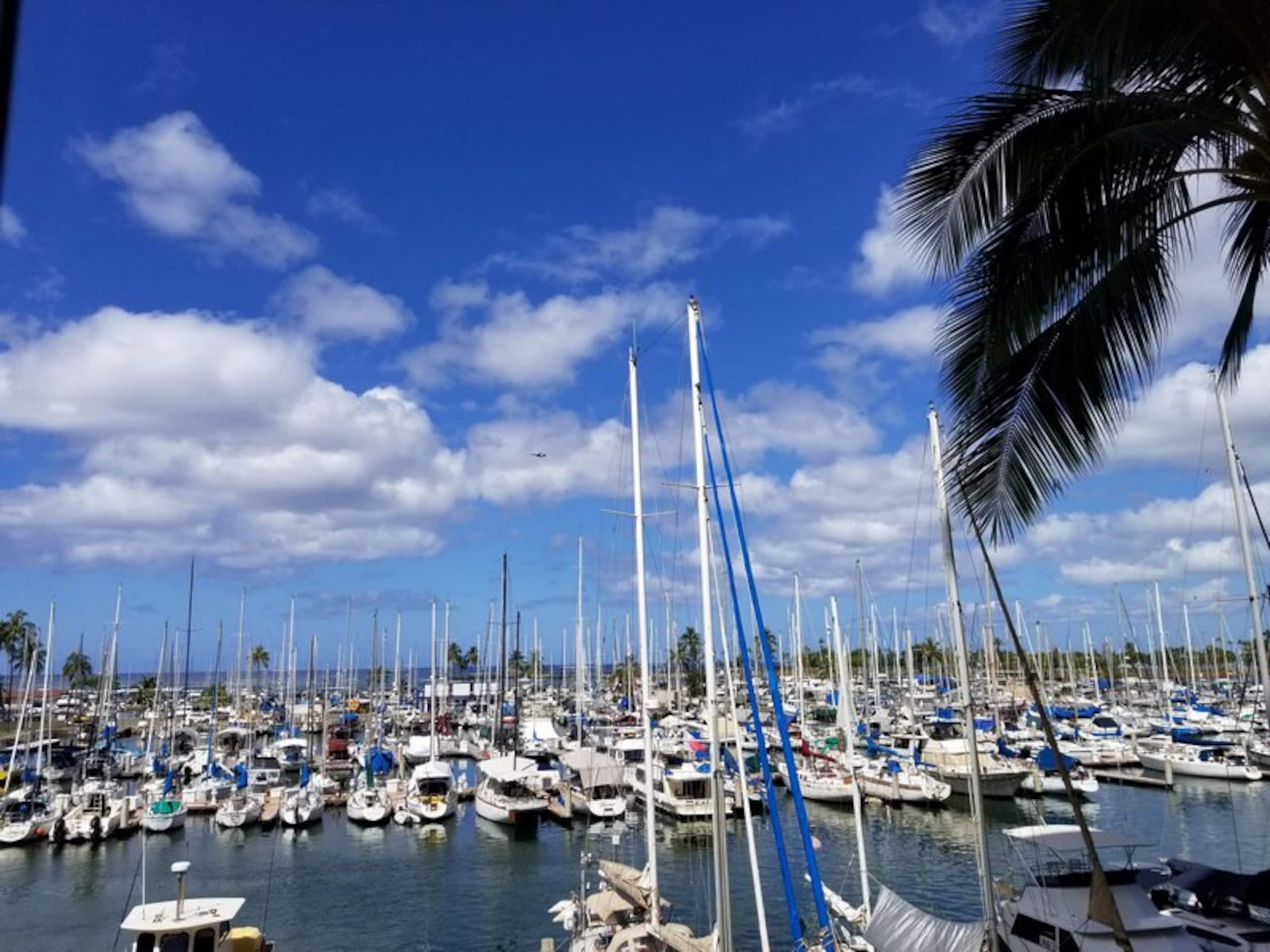 Island Oasis - Minutes to the Beach! - Image 11