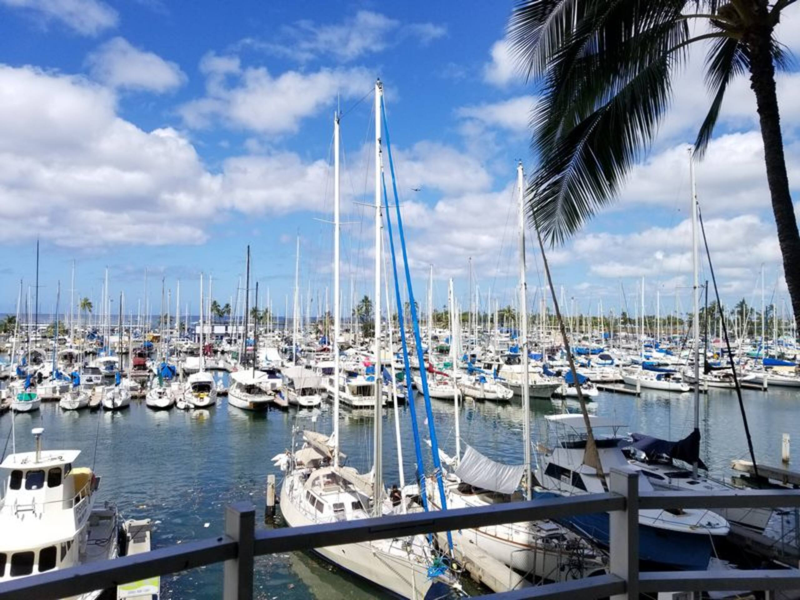 Island Oasis - Minutes to the Beach! - Image 12